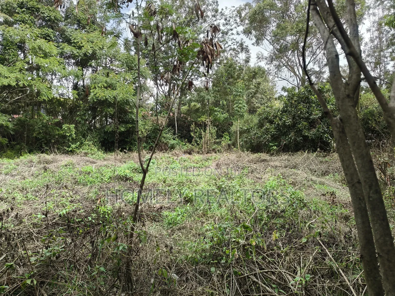 Quarter Acre Plot for Sale in Ngong, Vet Olepolos Road in Ole Polos