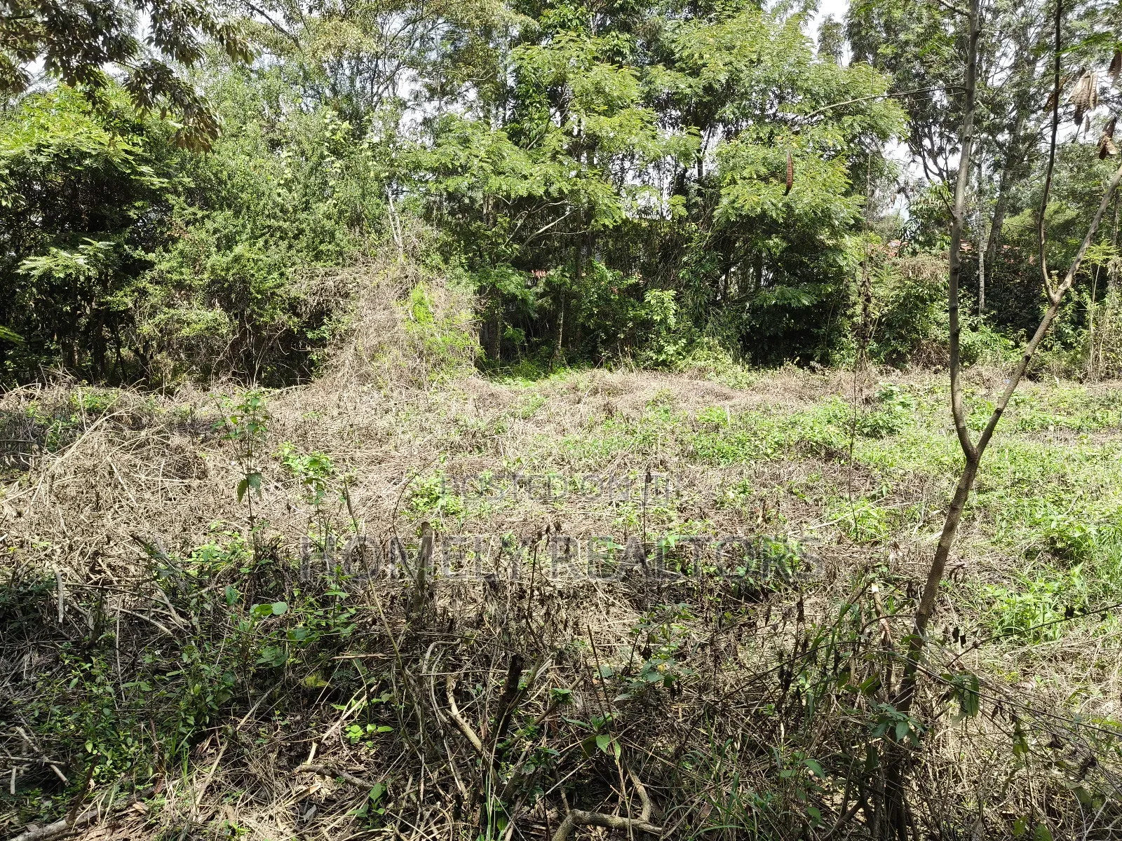 Quarter Acre Plot for Sale in Ngong, Vet Olepolos Road in Ole Polos