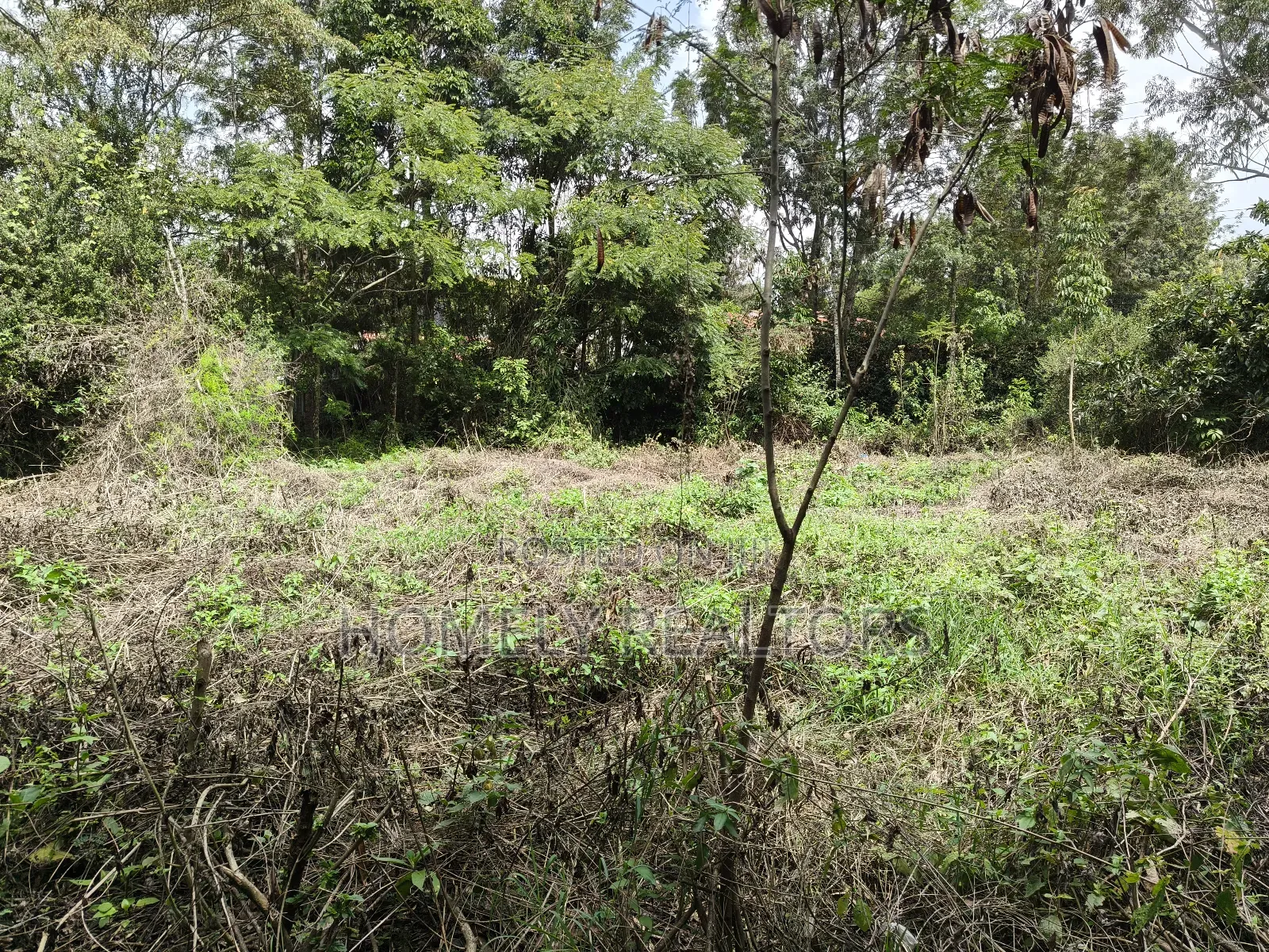 Quarter Acre Plot for Sale in Ngong, Vet Olepolos Road in Ole Polos