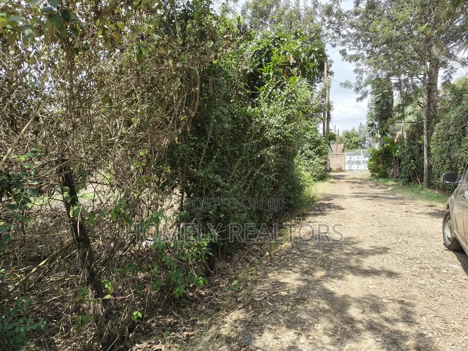Quarter Acre Plot for Sale in Ngong, Vet Olepolos Road in Ole Polos