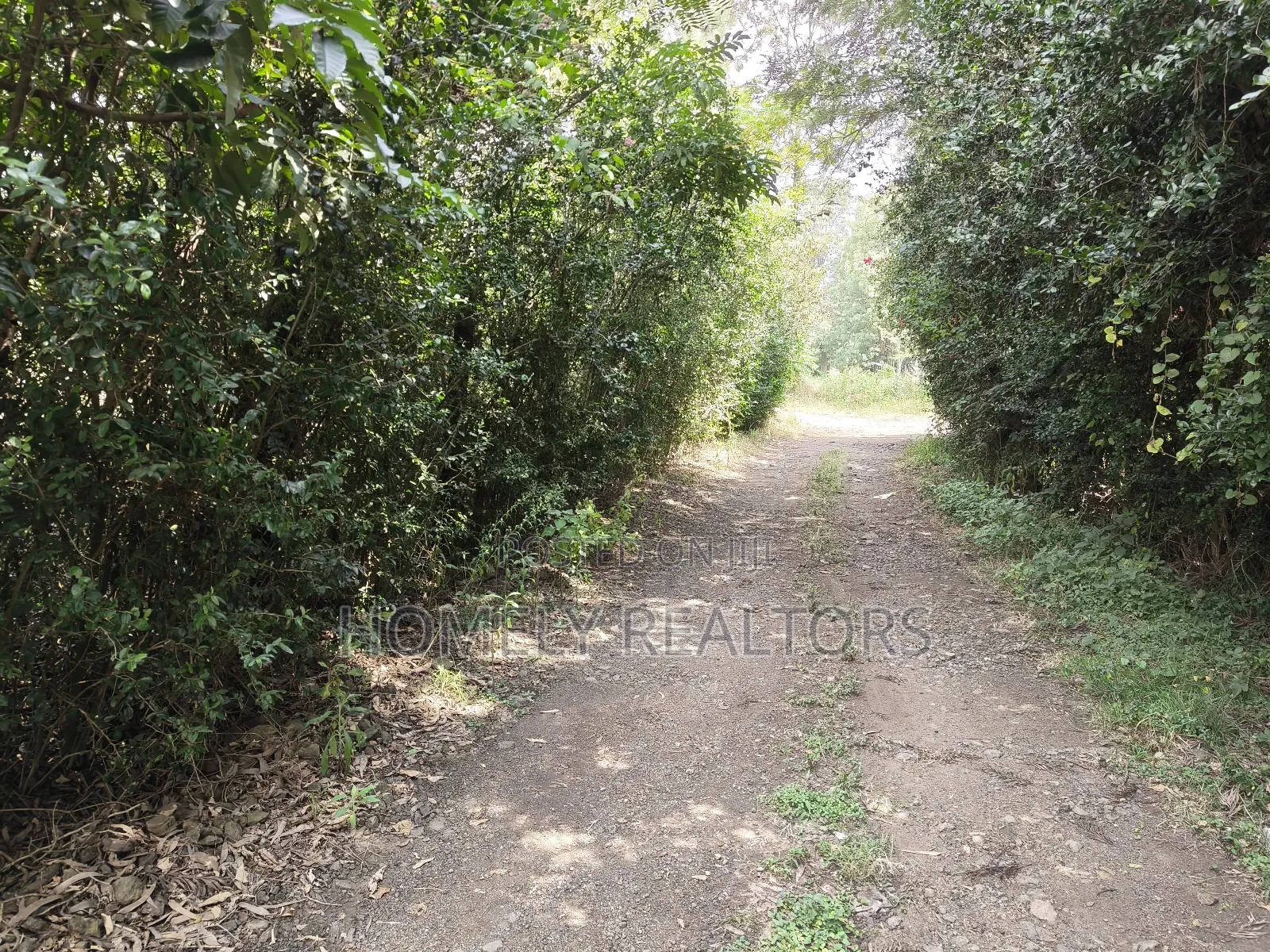 Quarter Acre Plot for Sale in Ngong, Vet Olepolos Road in Ole Polos