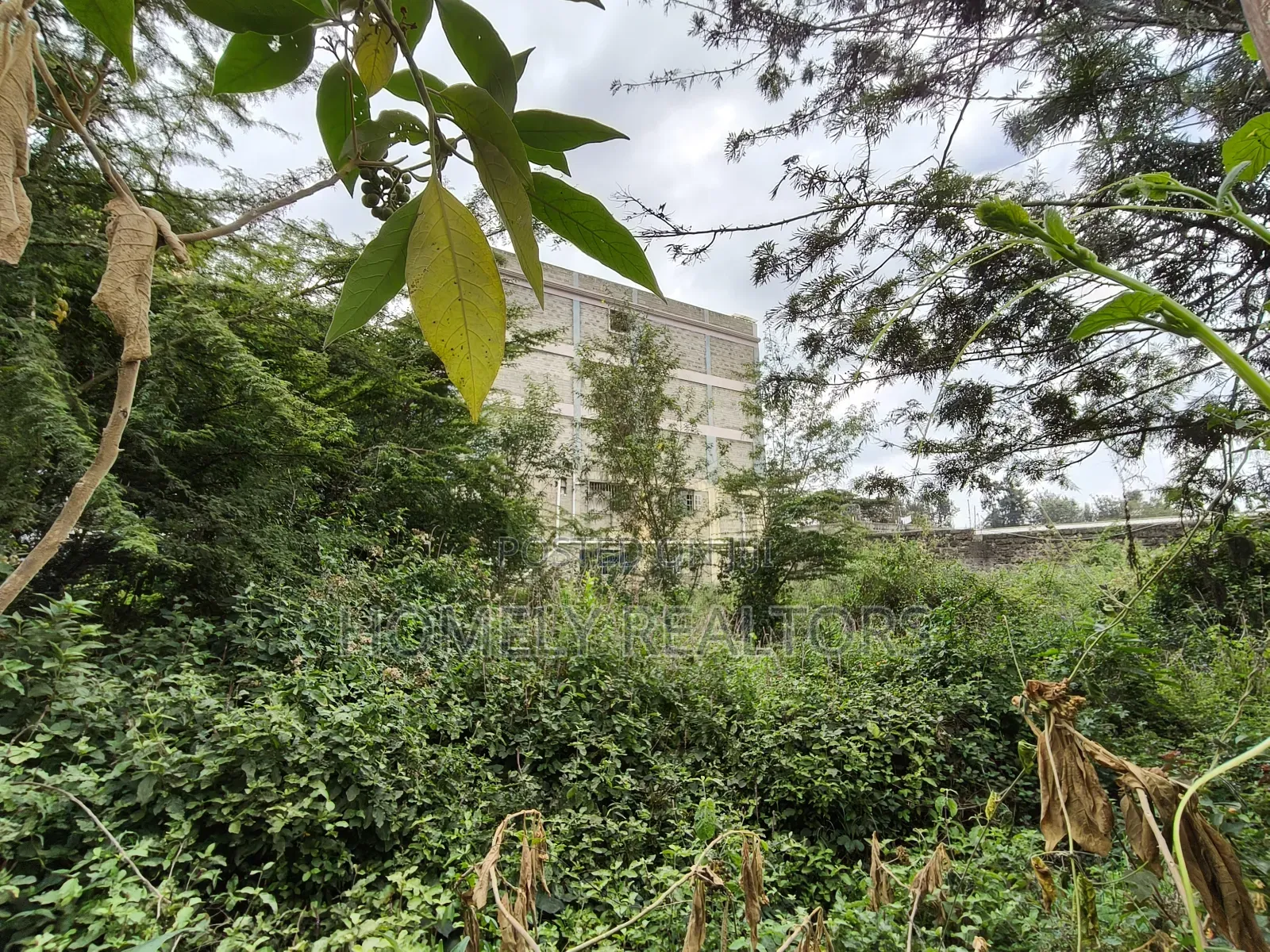 Commercial Quarter Acre in Ngong Vet 2nd Row From Ngong Road in Ngong