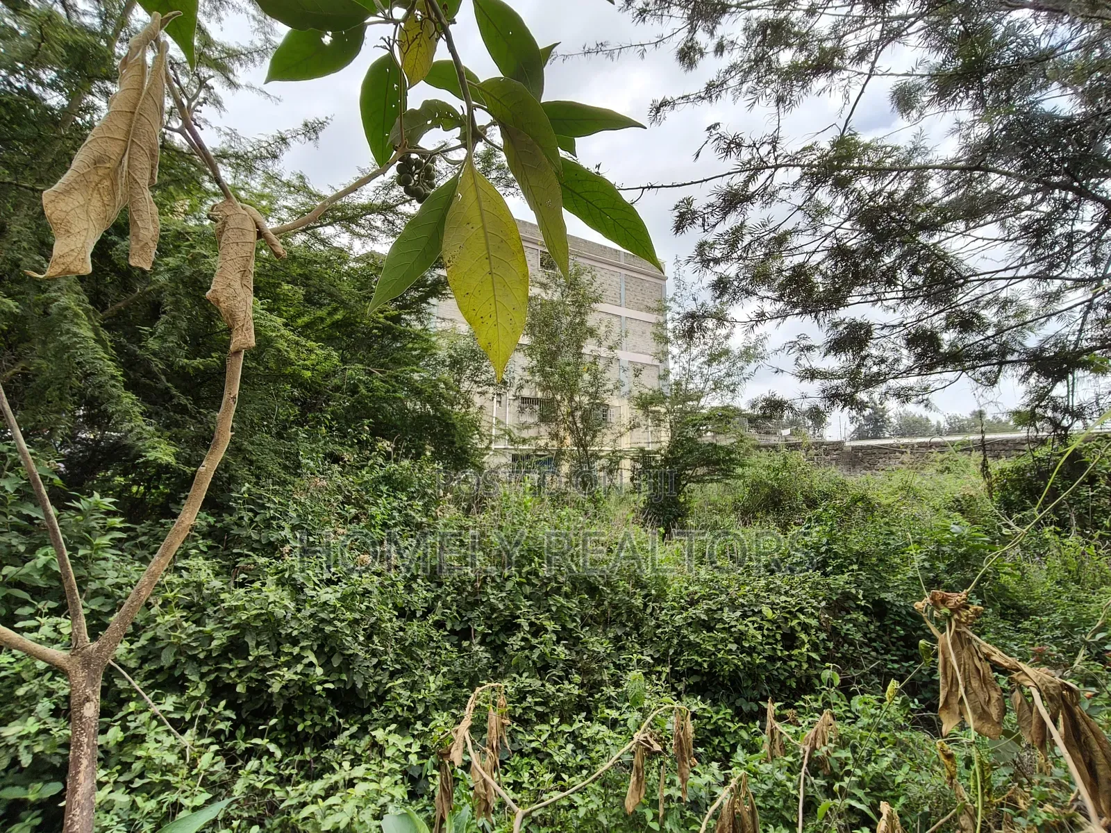 Commercial Quarter Acre in Ngong Vet 2nd Row From Ngong Road in Ngong