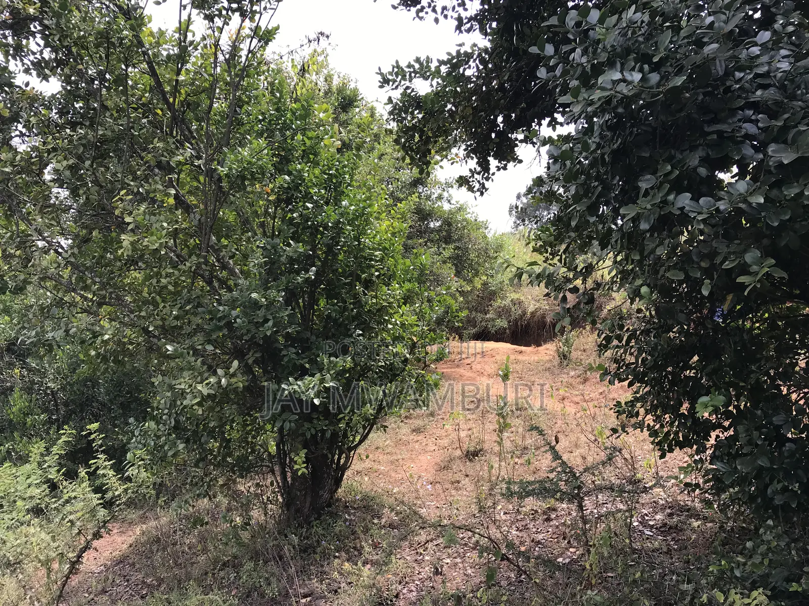 5 Acres Mua Hills in Mua Hills