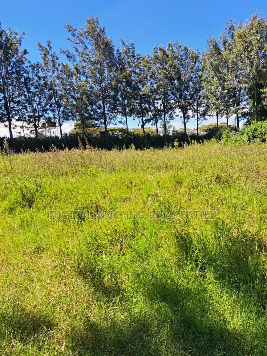 Karen Land 0.5 Acre for Sale in Karen C