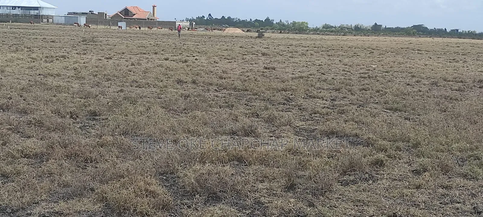 9 Acres Ready for Subdivision Ready Title Deed Clean in Isinya