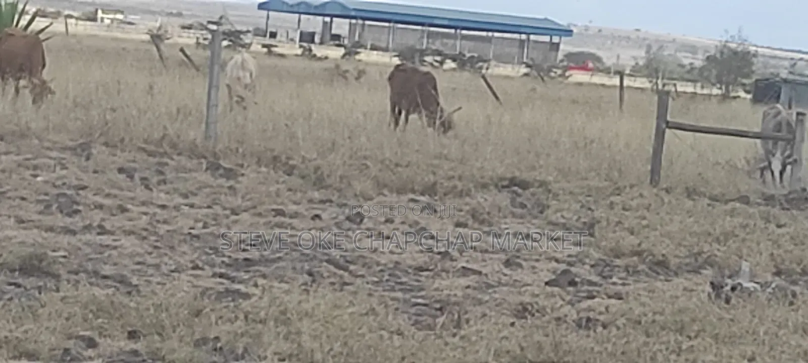 9 Acres Ready for Subdivision Ready Title Deed Clean in Isinya
