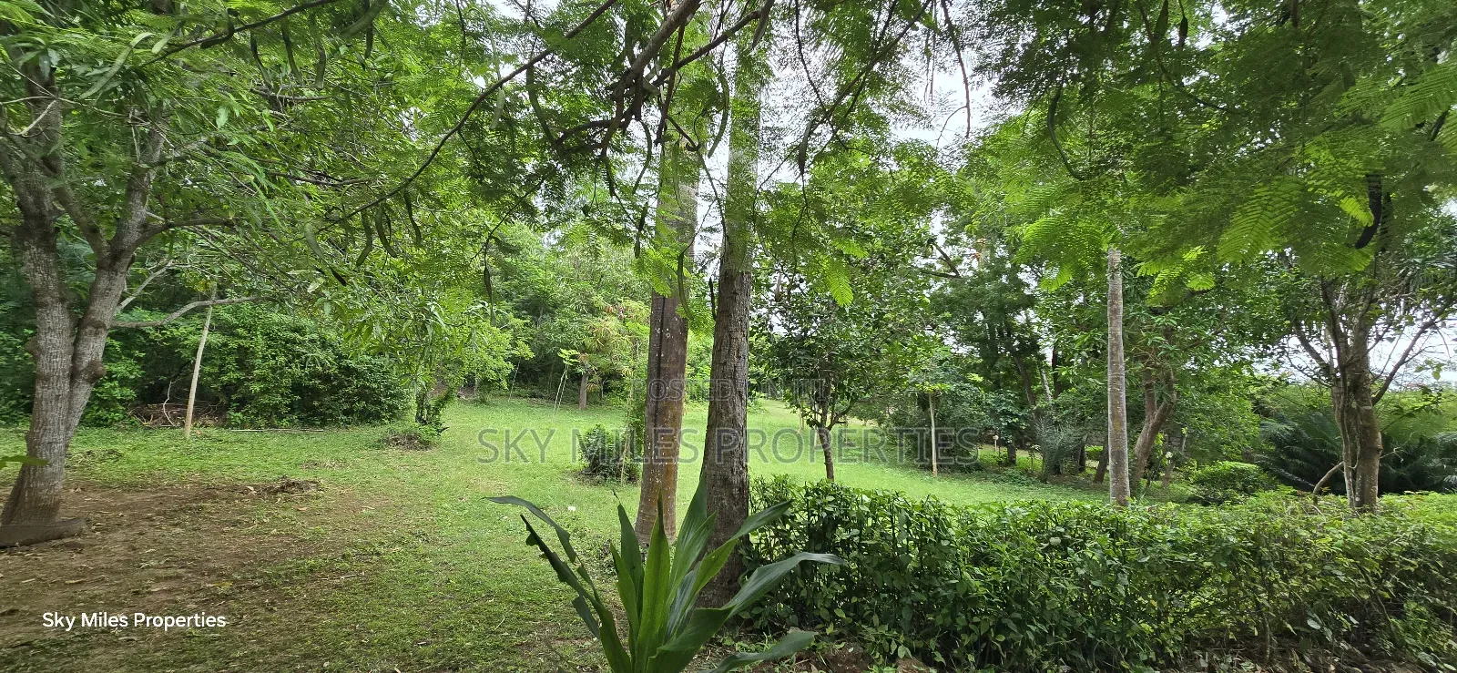 4bdrm Villa in Kikambala for sale in Kikambala