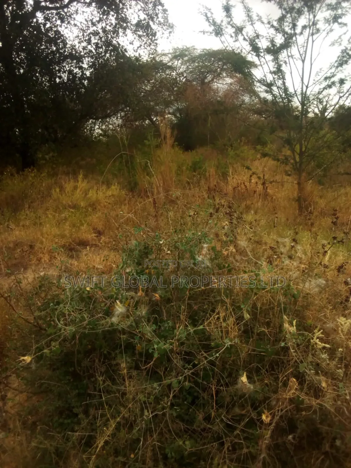 40,000 Acres With Water in Witu Lamu Is Available for Sale in Witu