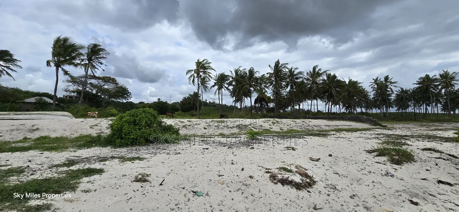 1 Acre Beach Plot for Kikambala in Kikambala