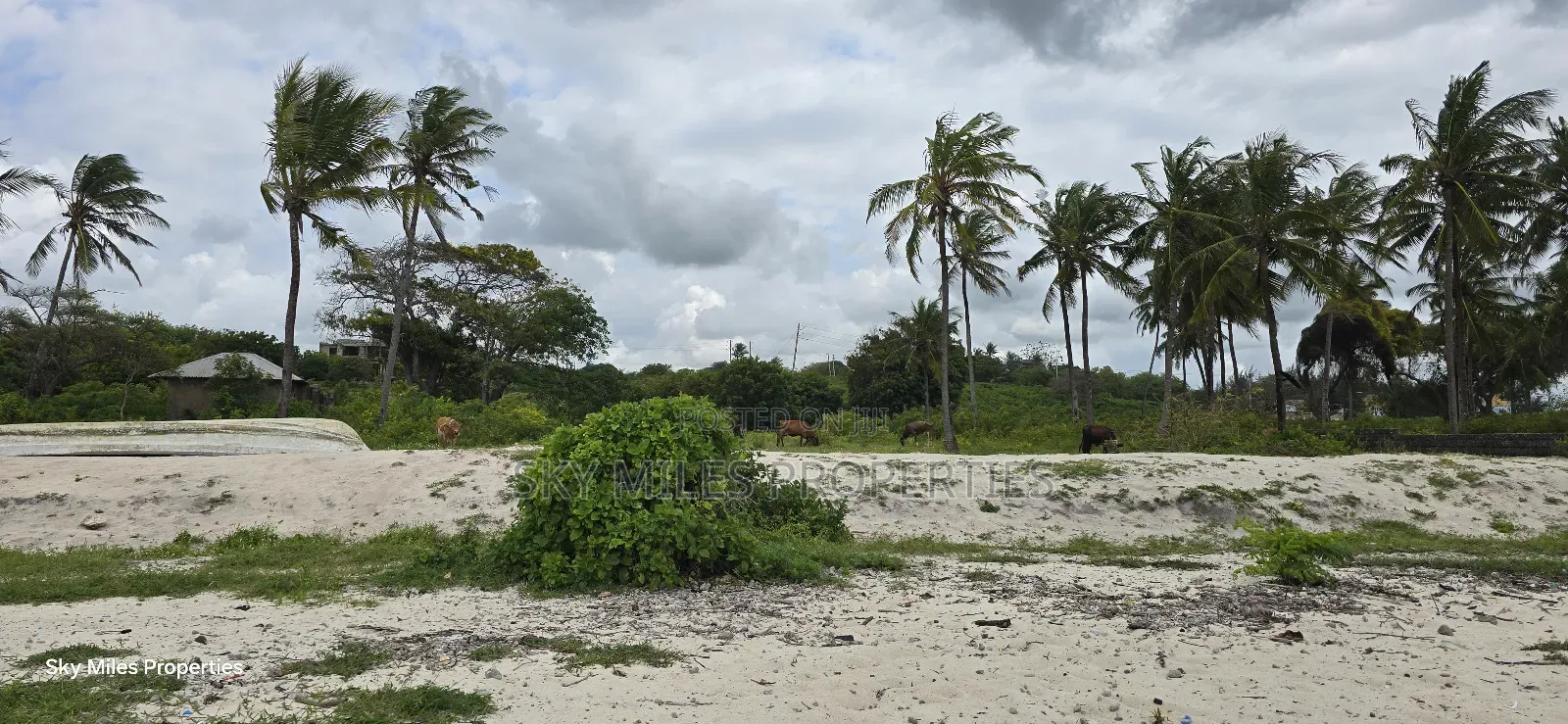 1 Acre Beach Plot for Kikambala in Kikambala
