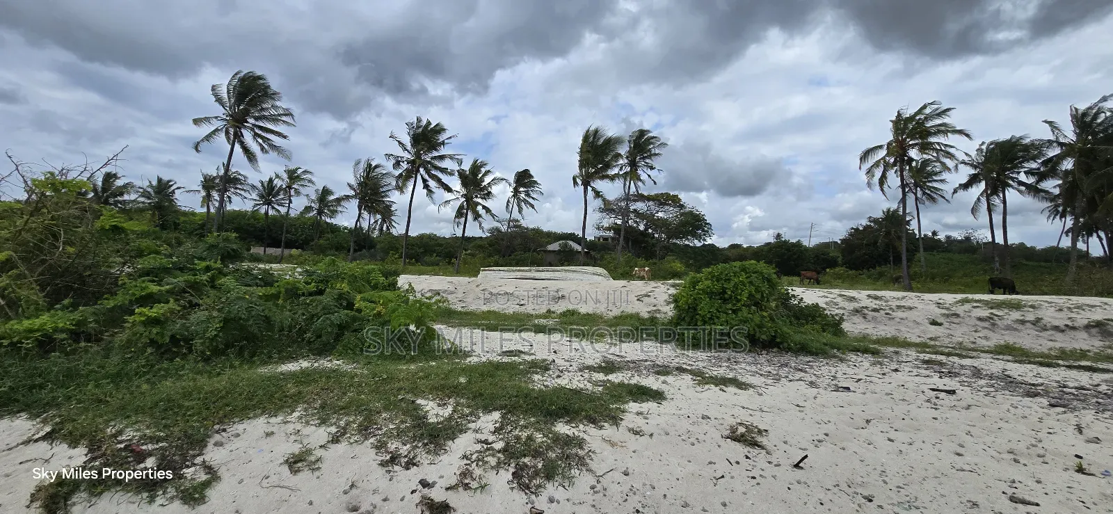 1 Acre Beach Plot for Kikambala in Kikambala