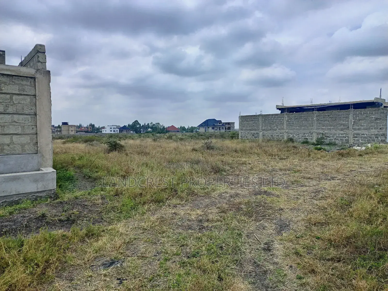 50*100 Land for Sale in Katani in Katani