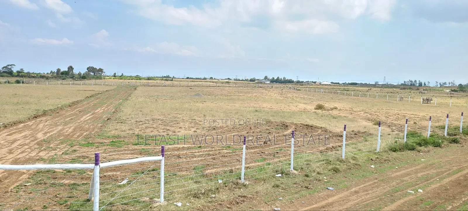 50 by 100 Ft Plots in Mirera Area, Selling for 700,000 in Mirera
