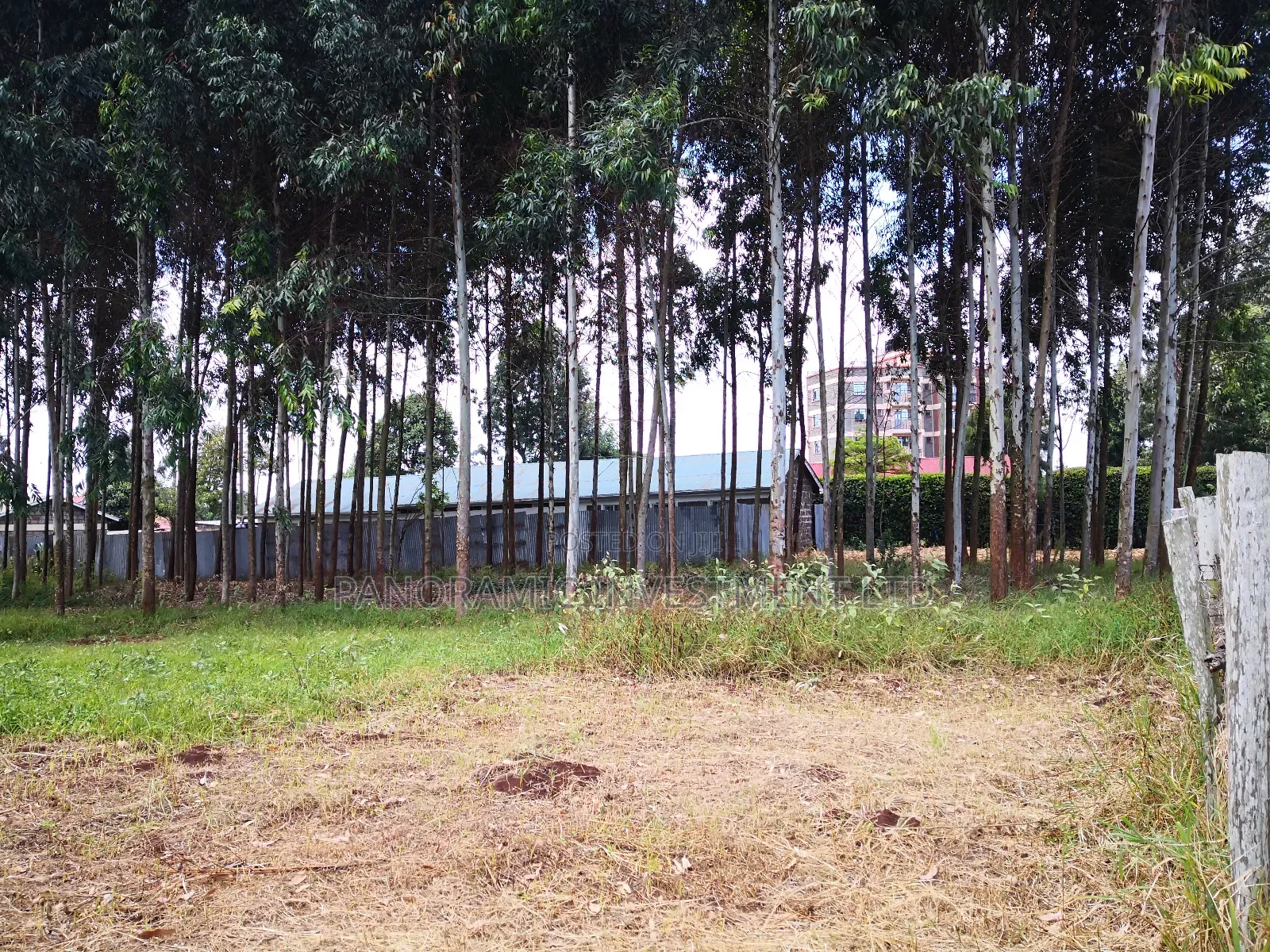 50by100 Plot for Sale in Zambezi Kikuyu Kiambu County. in Kikuyu