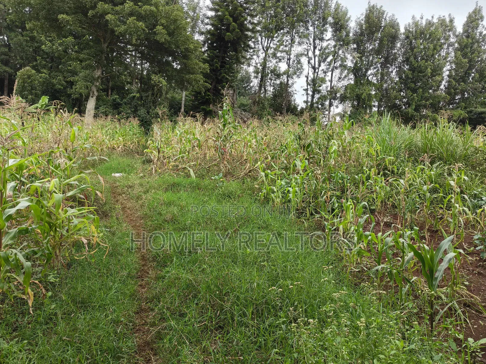 One Acre Piece of Land in Ngong, Olulua Rd With Scenic View in Ngong