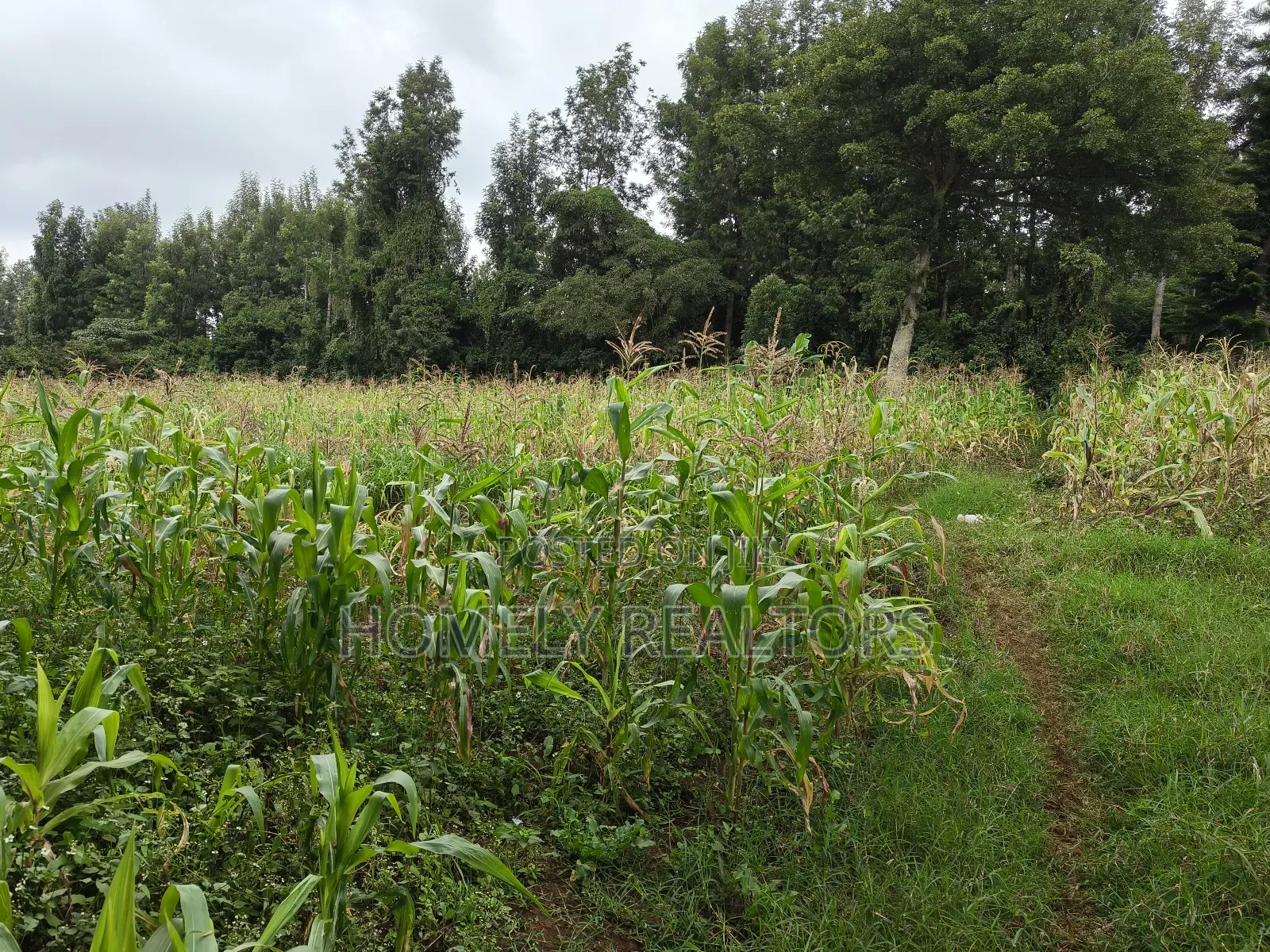 One Acre Piece of Land in Ngong, Olulua Rd With Scenic View in Ngong