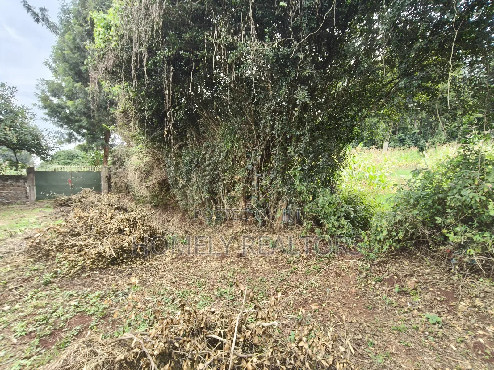 One Acre Piece of Land in Ngong, Olulua Rd With Scenic View in Ngong