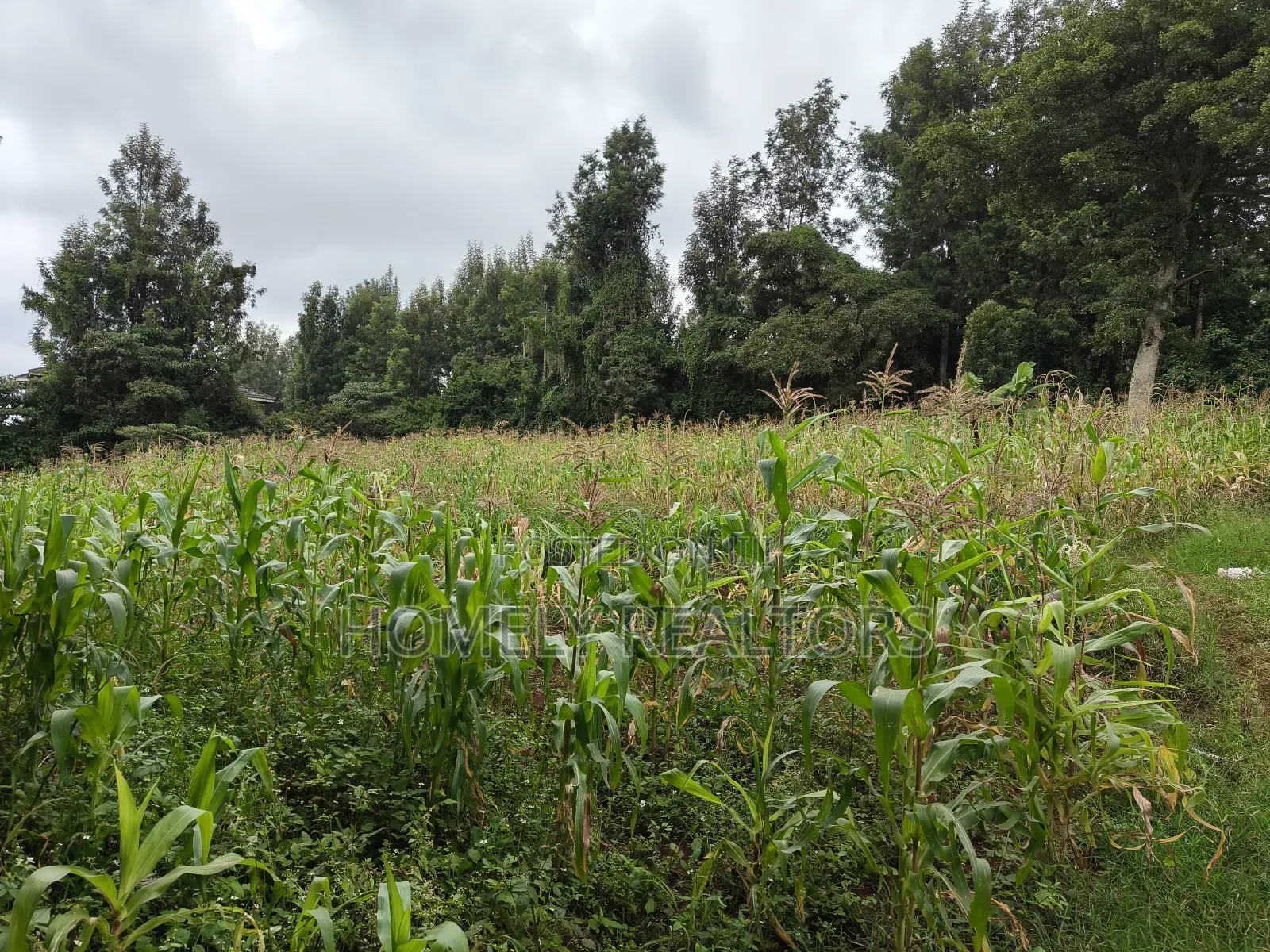 Half Acre Plot in Ngong, Along Olulua Rd With Scenic View in Ngong