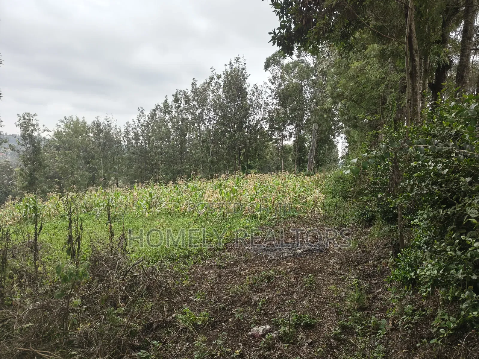Half Acre Plot in Ngong, Matasia, 200 Meters From the Tarmac in Matasia