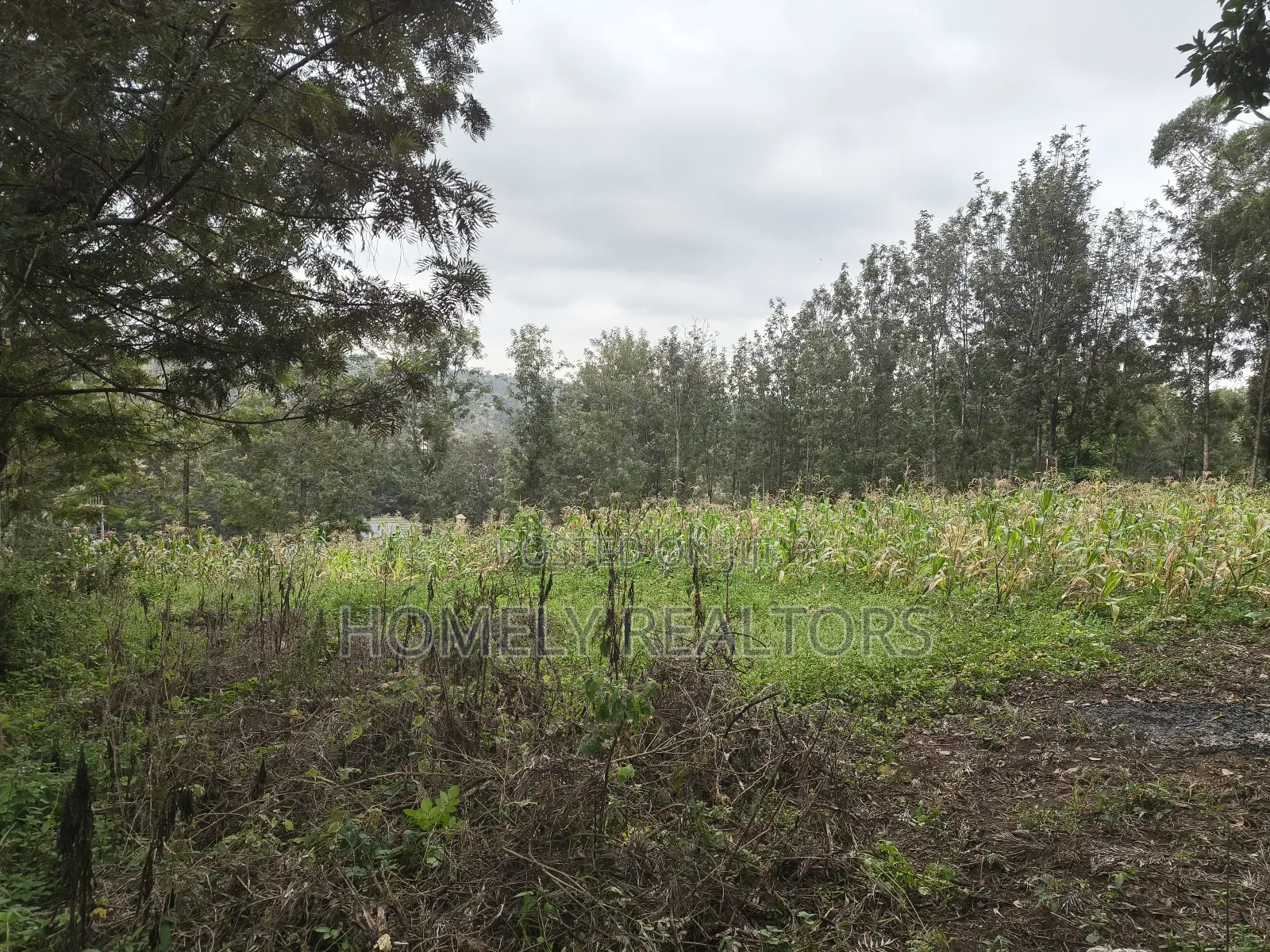 Half Acre Plot in Ngong, Matasia, 200 Meters From the Tarmac in Matasia