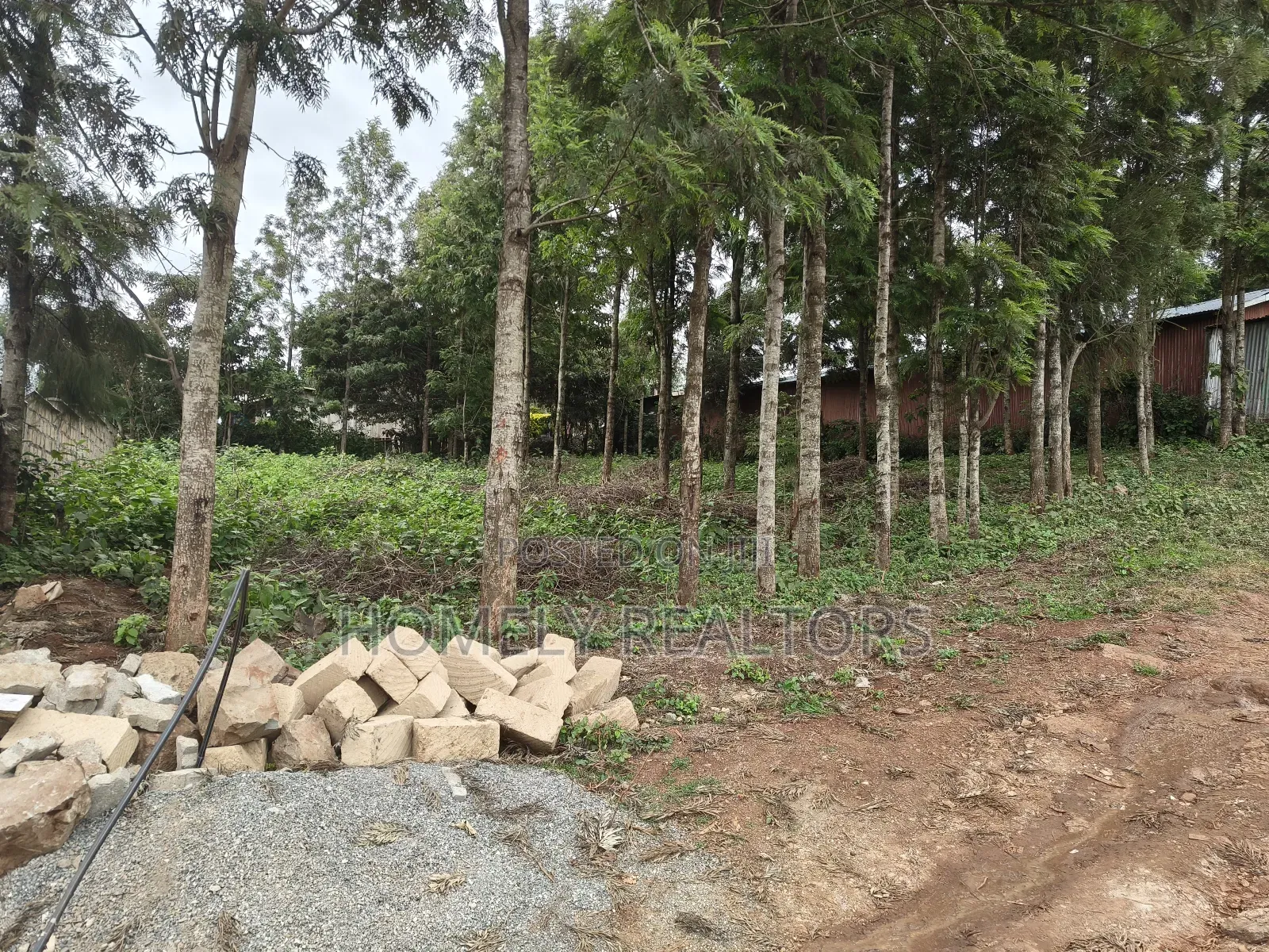 Residential Eighth Acre Plot in Ngong Along Maragara Road in Kibiku