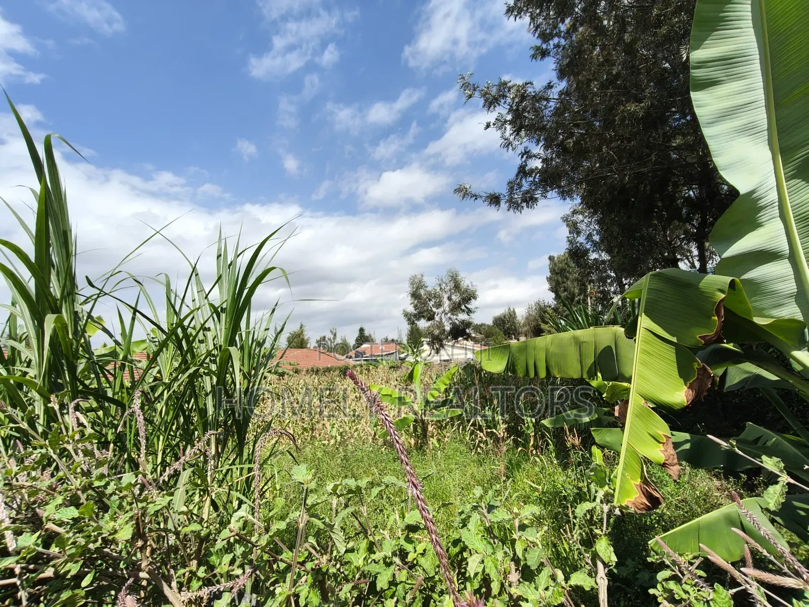Quarter Acre Plot in Rimpa, Ongata Rongai in a Gated Estate in Rimpa