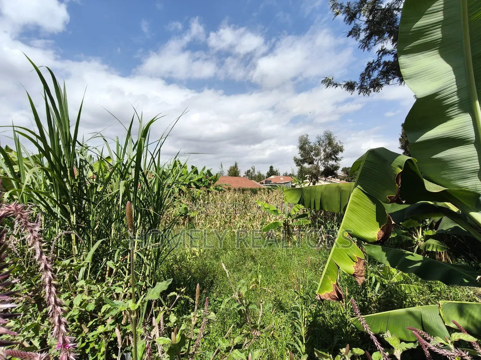 Quarter Acre Plot in Rimpa, Ongata Rongai in a Gated Estate in Rimpa