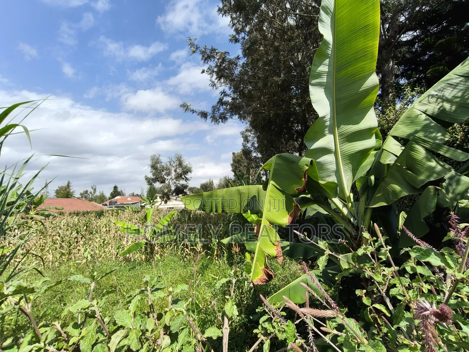 Quarter Acre Plot in Rimpa, Ongata Rongai in a Gated Estate in Rimpa