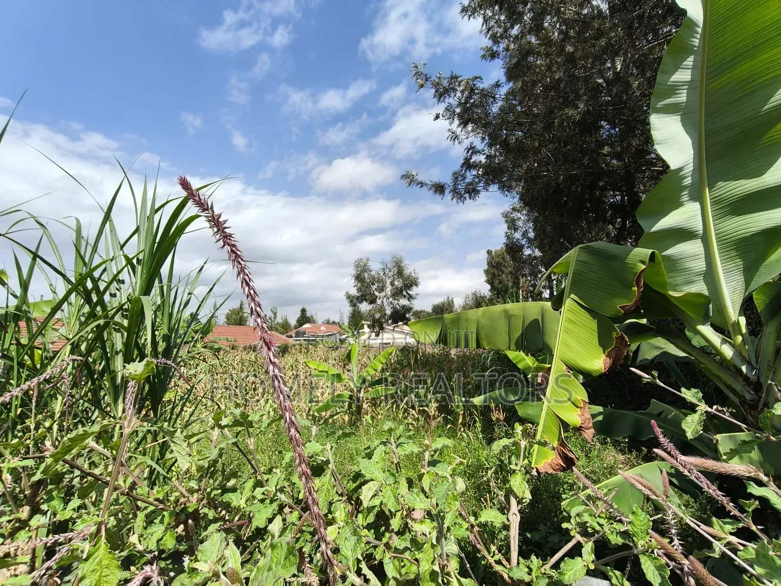 Quarter Acre Plot in Rimpa, Ongata Rongai in a Gated Estate in Rimpa