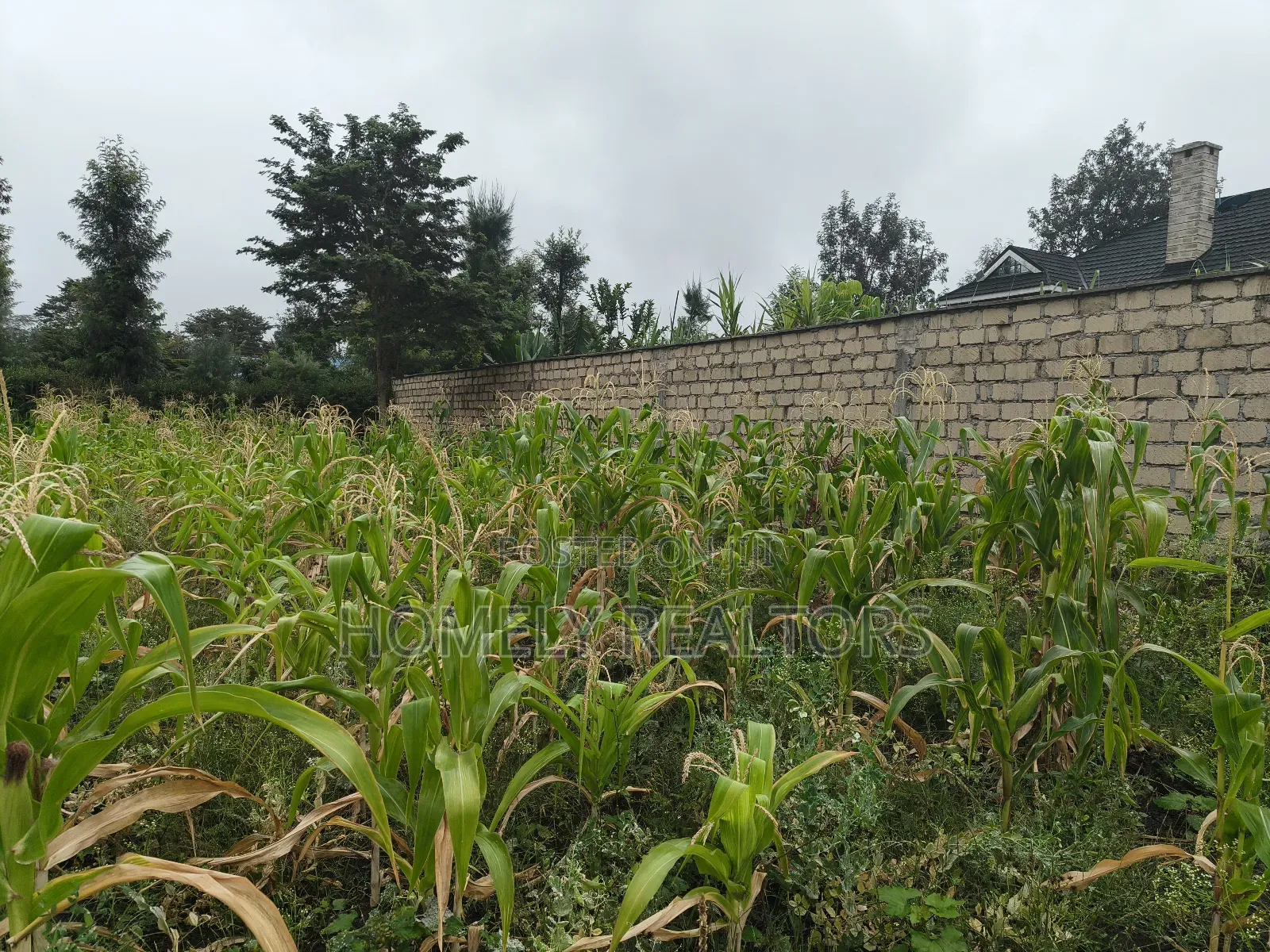 Eighth Acre Plot in Rimpa, Ongata Rongai in a Gated Estate in Rimpa