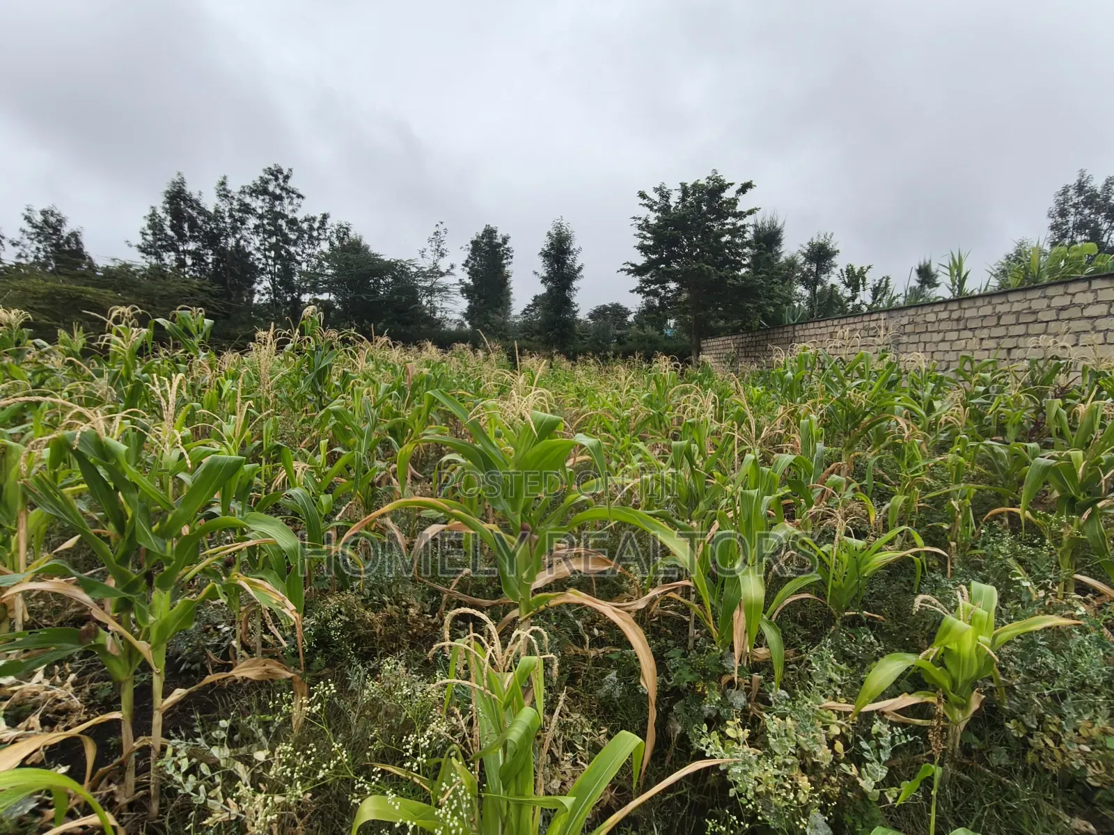 Eighth Acre Plot in Rimpa, Ongata Rongai in a Gated Estate in Rimpa
