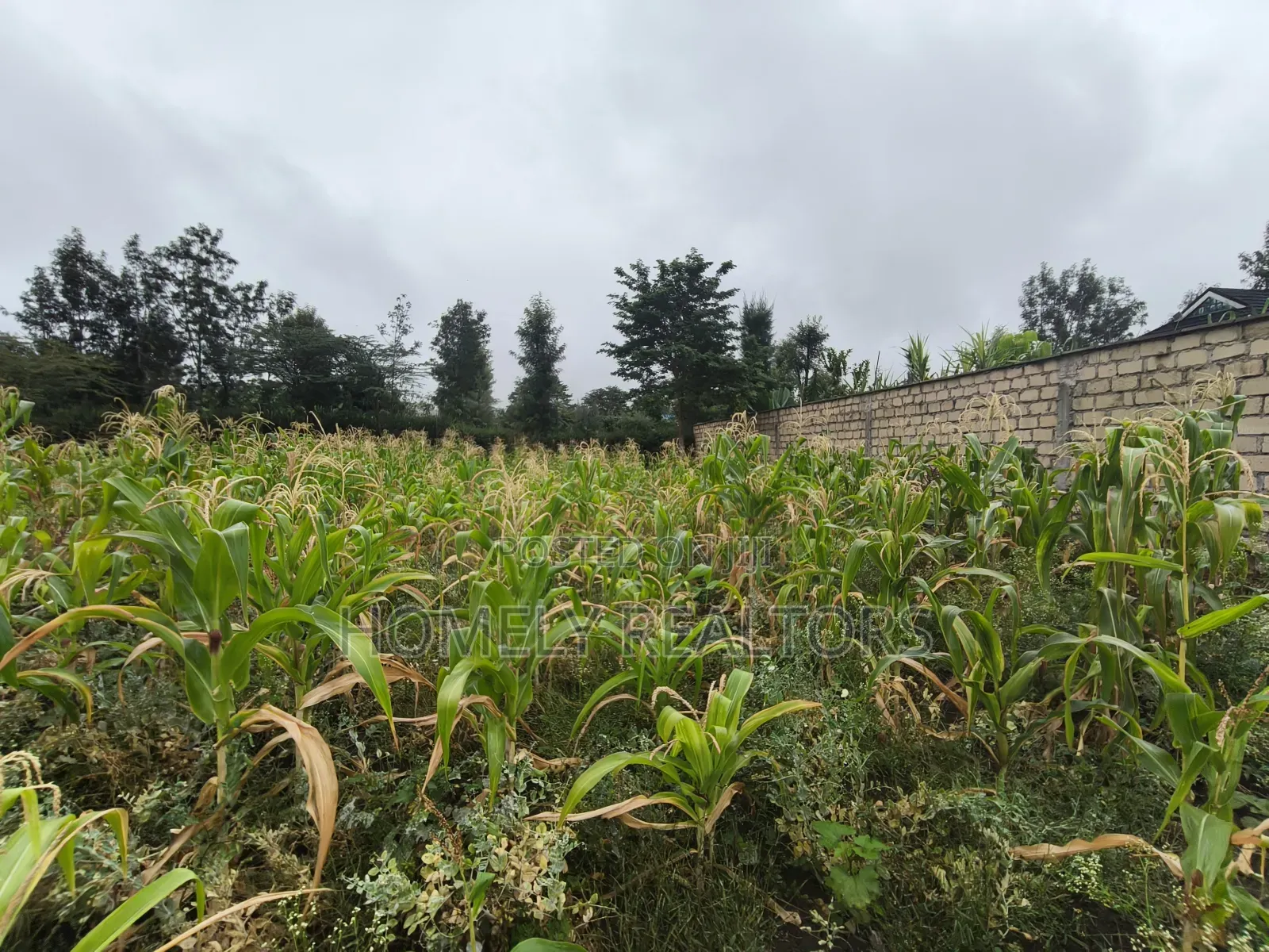 Eighth Acre Plot in Rimpa, Ongata Rongai in a Gated Estate in Rimpa