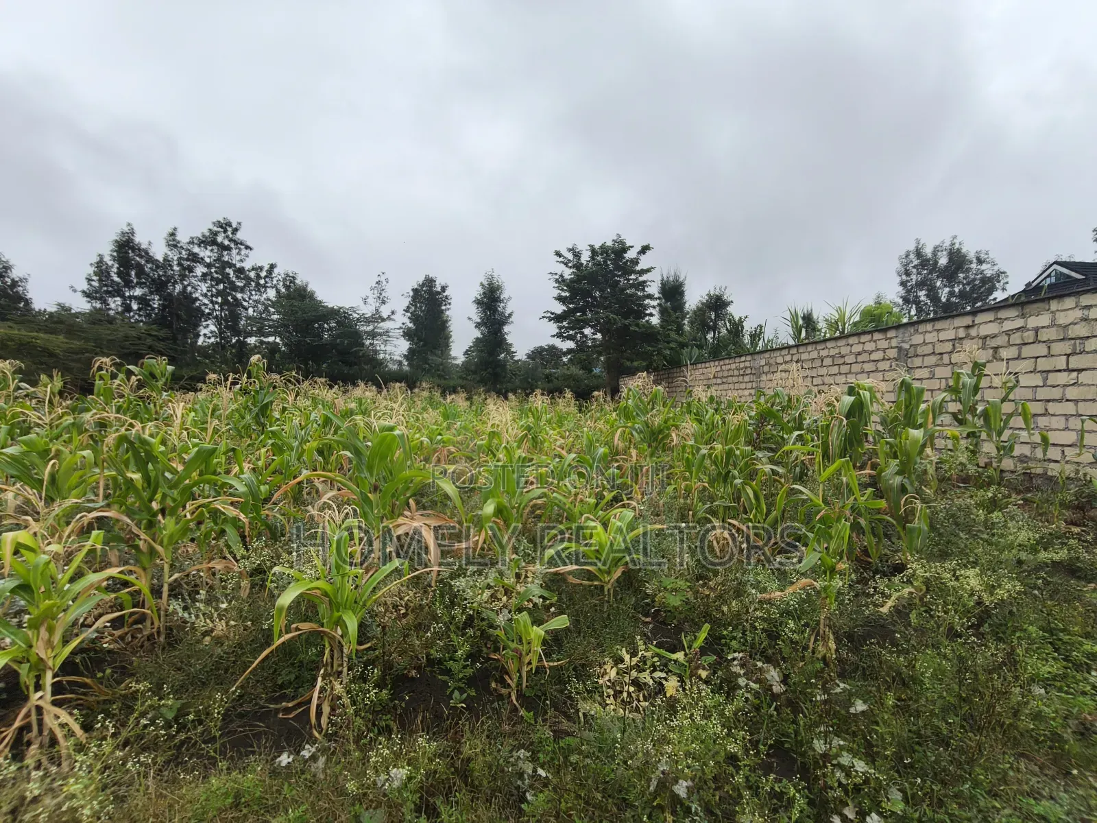 Eighth Acre Plot in Rimpa, Ongata Rongai in a Gated Estate in Rimpa