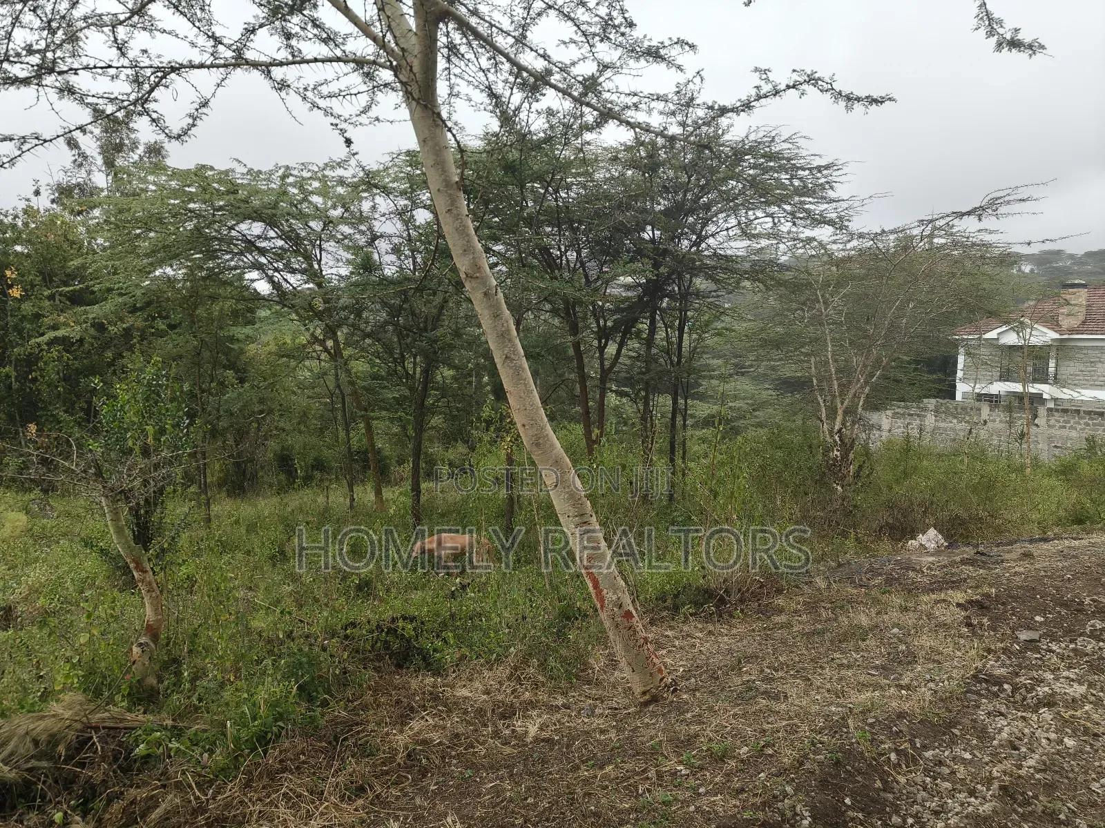 Eighth Acre Plot in Rimpa, Ongata Rongai, Kandisi Area in Rimpa