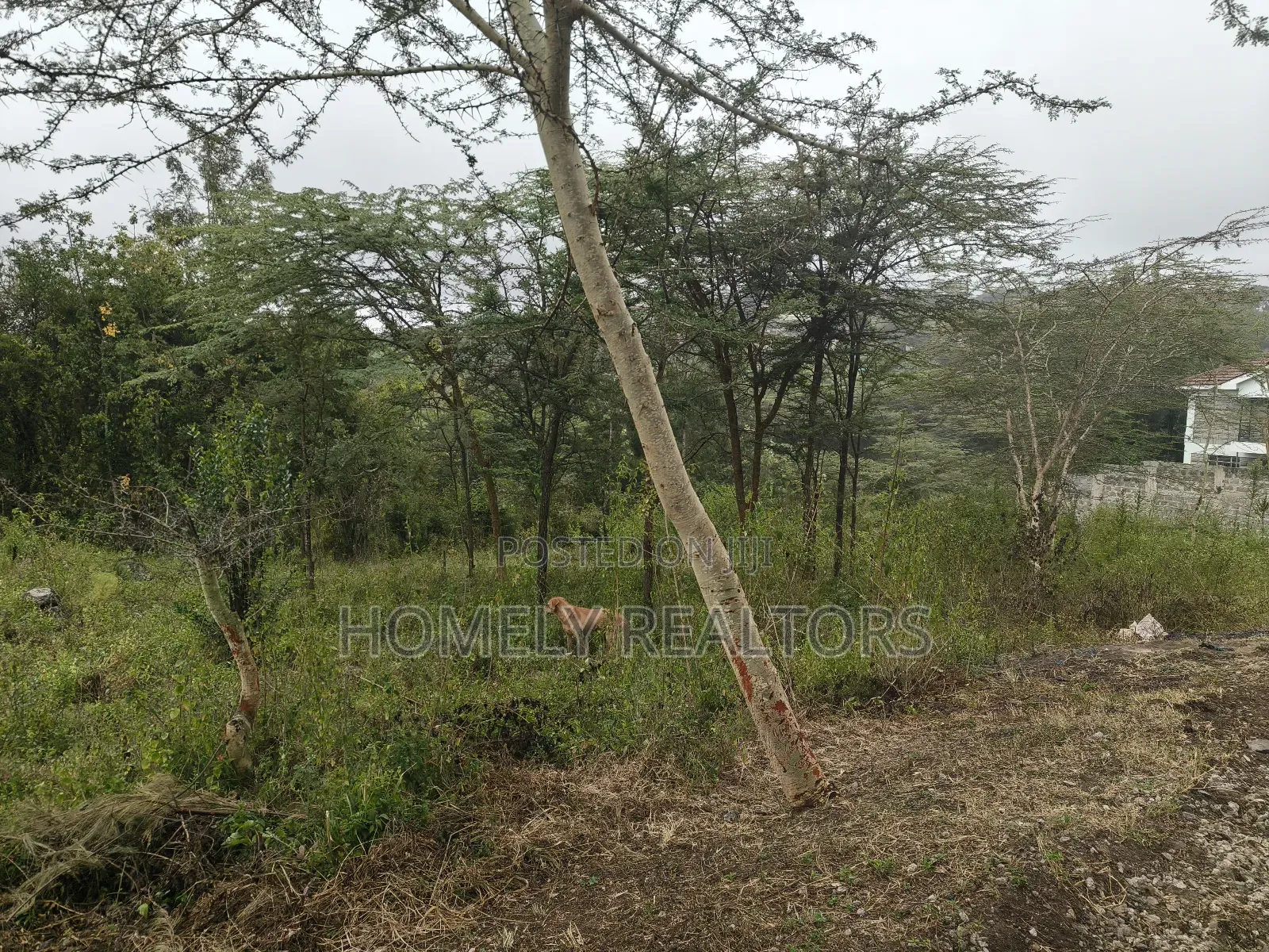Eighth Acre Plot in Rimpa, Ongata Rongai, Kandisi Area in Rimpa