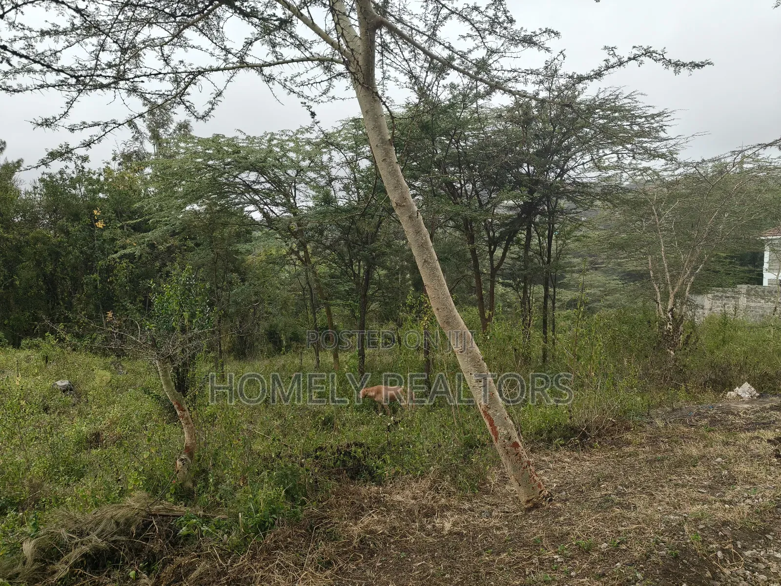 Eighth Acre Plot in Rimpa, Ongata Rongai, Kandisi Area in Rimpa