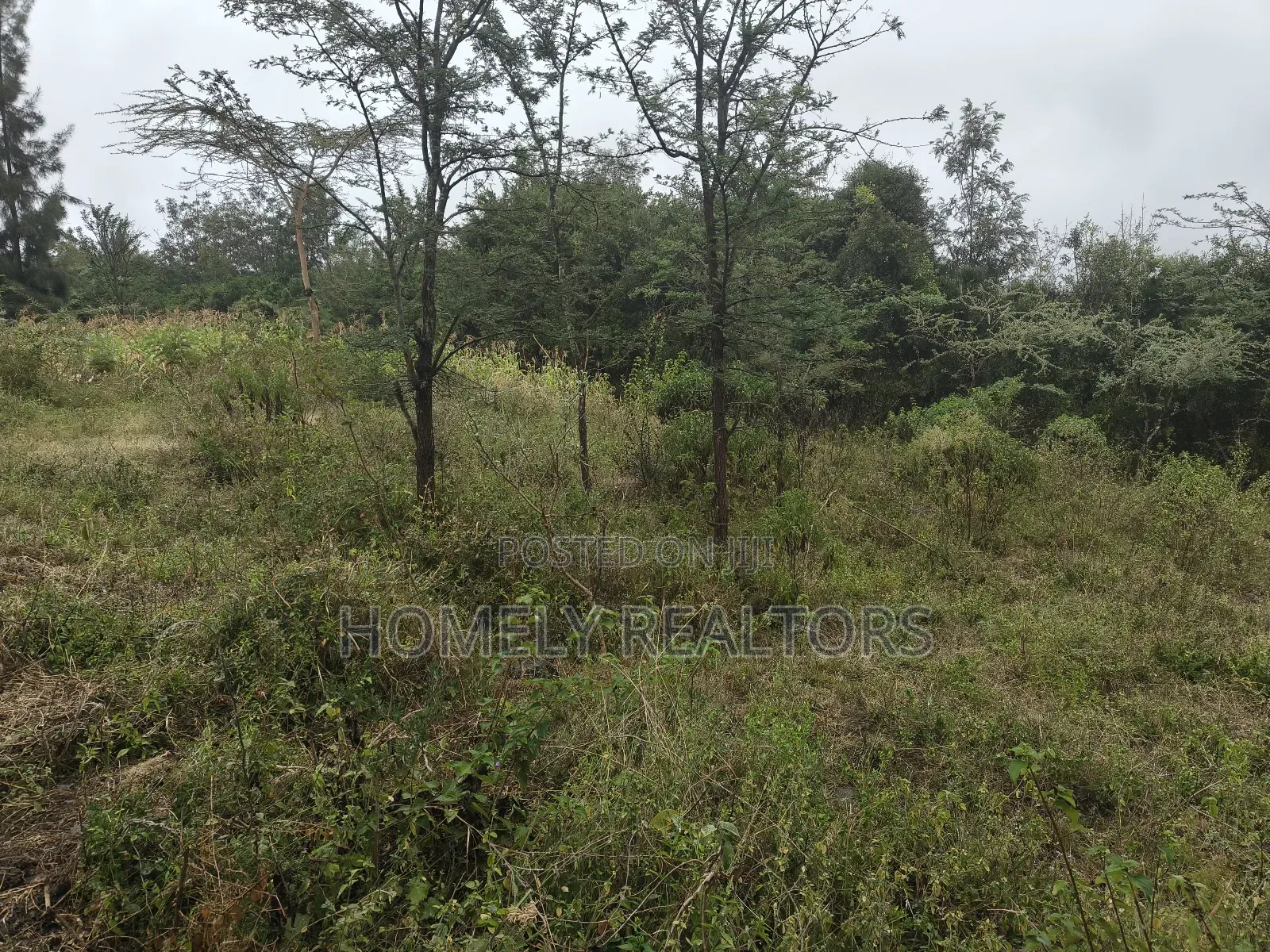 Eighth Acre Plot in Rimpa, Ongata Rongai, Kandisi Area in Rimpa