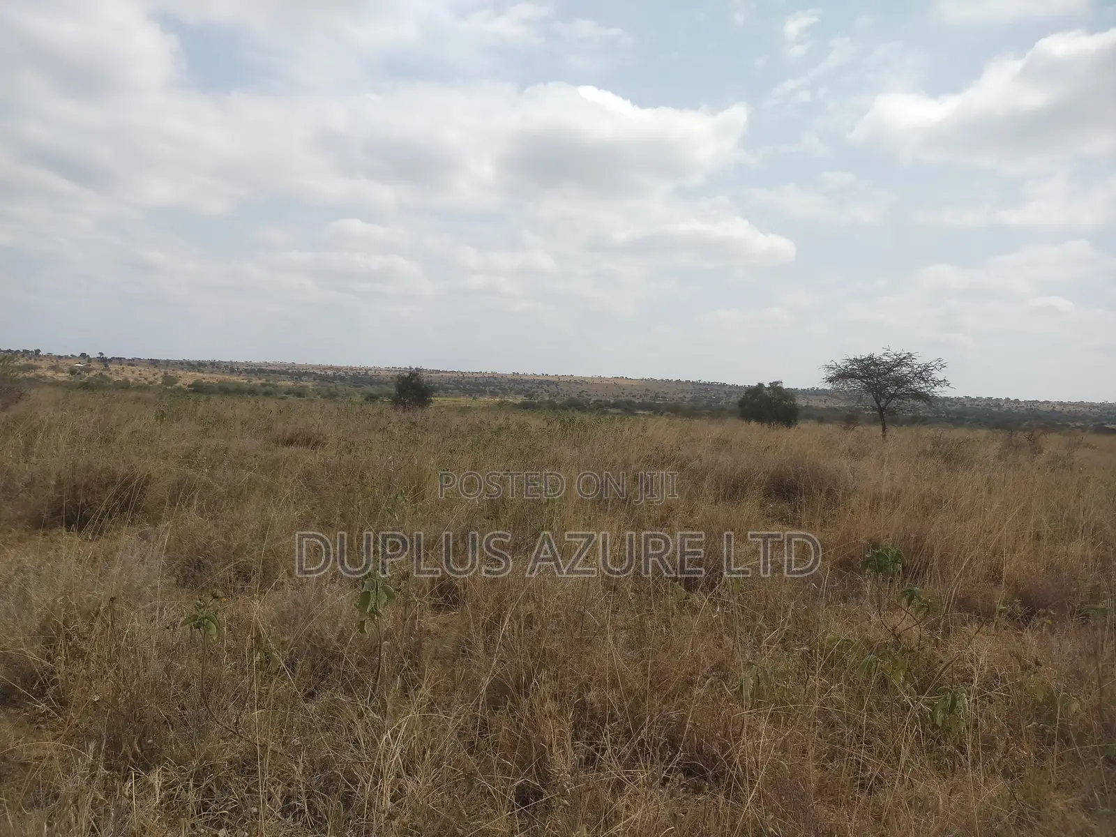 13-Acres Next to a Commercial Farm in Kajiado~Mashuru in Imaroro