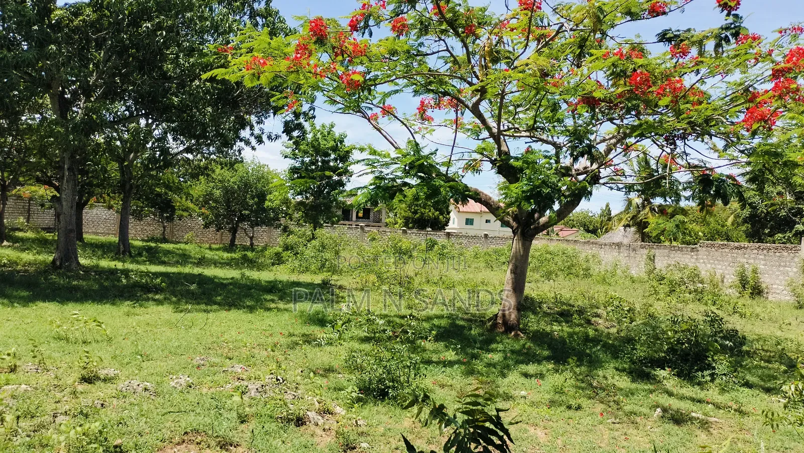 Half Acre Prime Land on Sale in Diani Kongo River Area in Diani