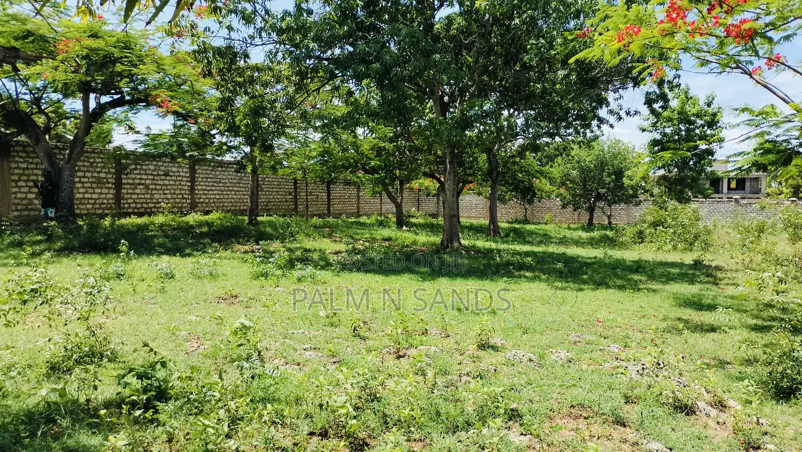Half Acre Prime Land on Sale in Diani Kongo River Area in Diani
