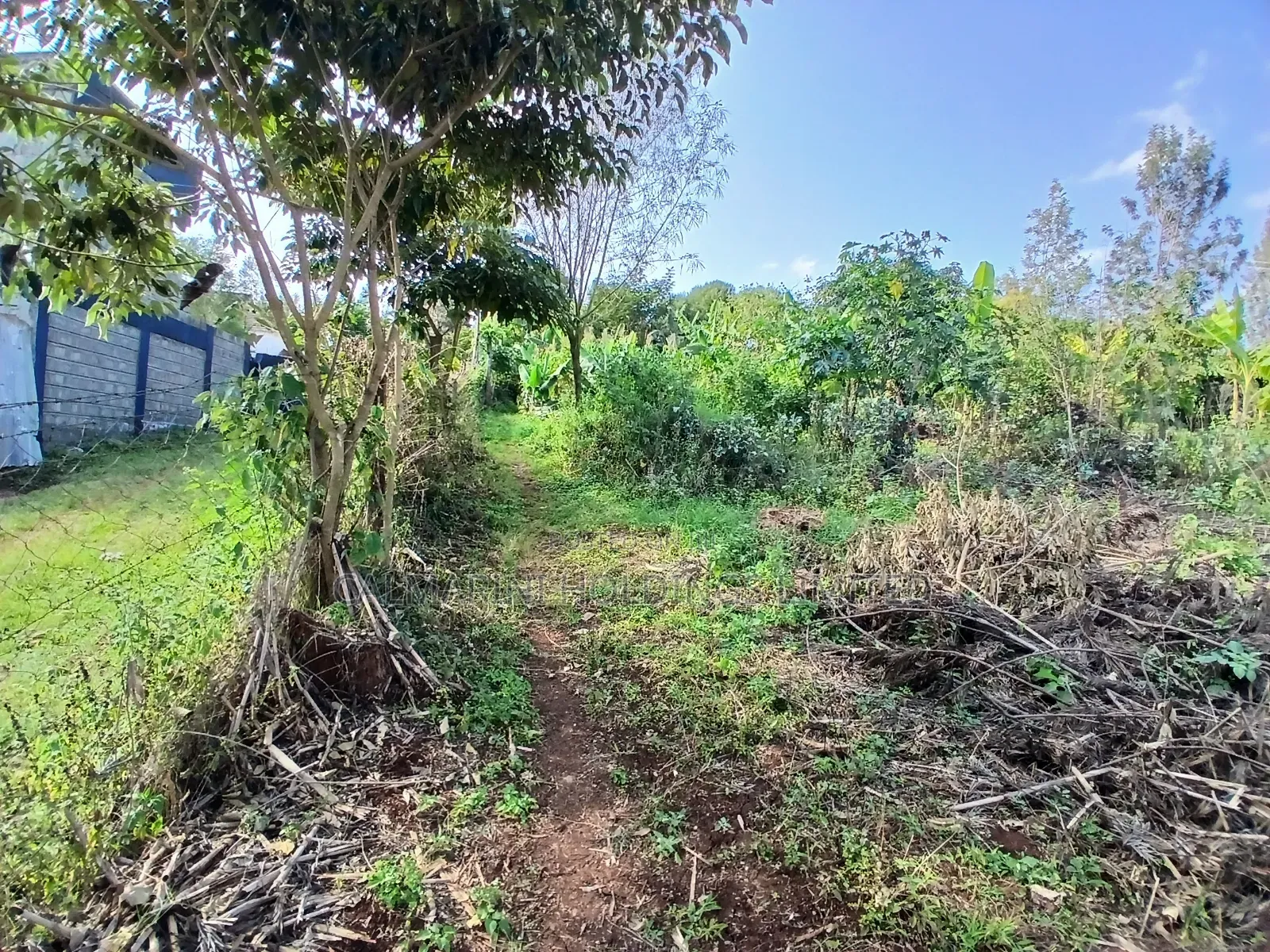 Distress Sale! 100 by 100 Redsoil Plot, Upper Matasia Ngong in Matasia