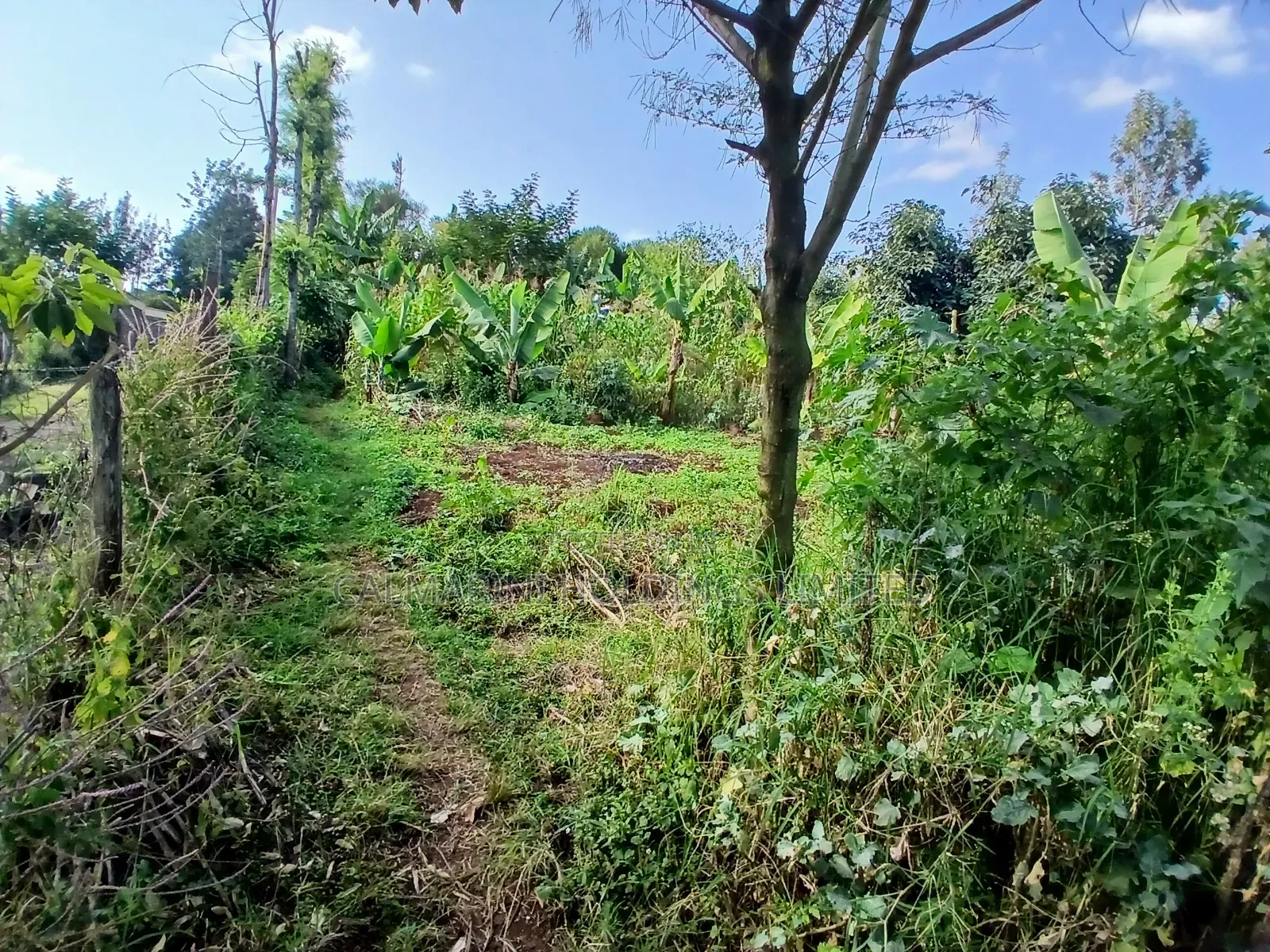 Distress Sale! 100 by 100 Redsoil Plot, Upper Matasia Ngong in Matasia