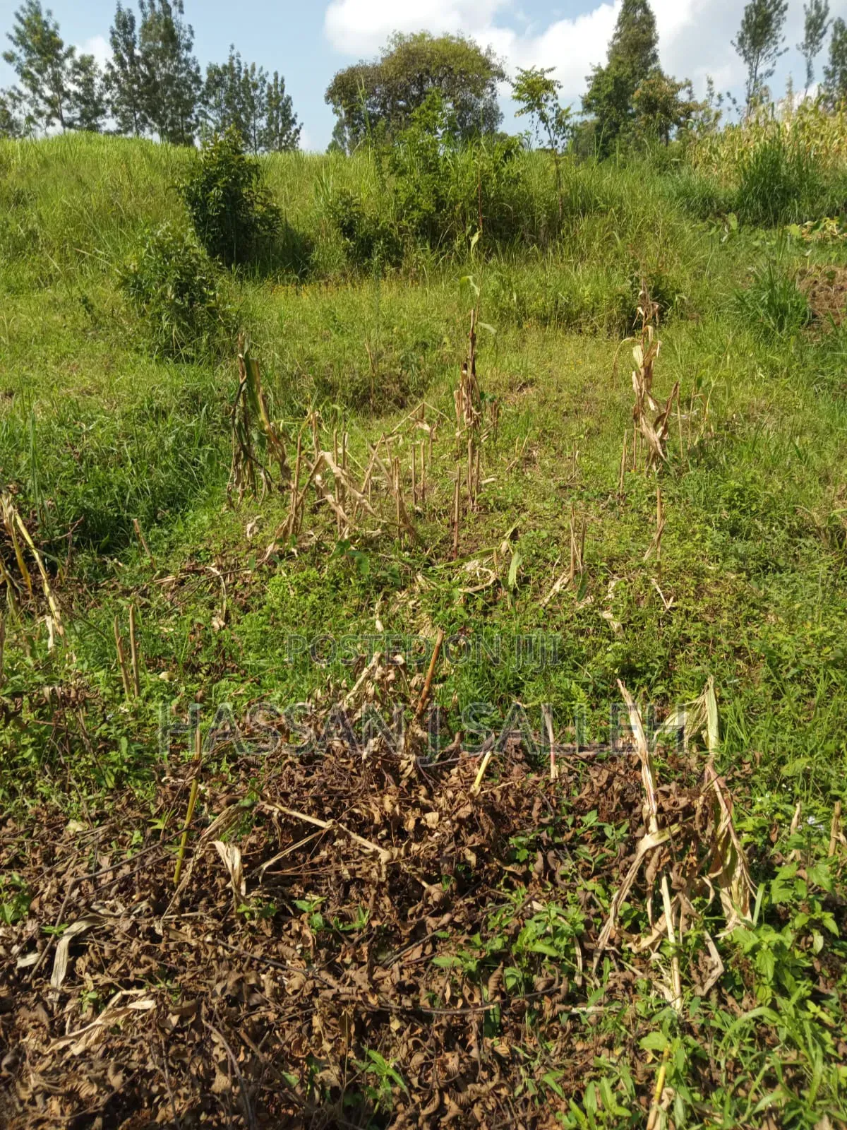 3acres Mumias East for Sale in East Wanga