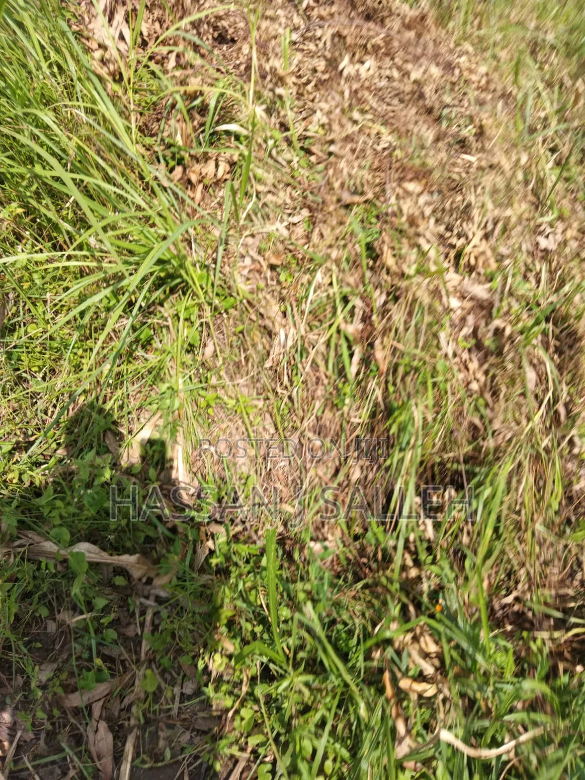 3acres Mumias East for Sale in East Wanga