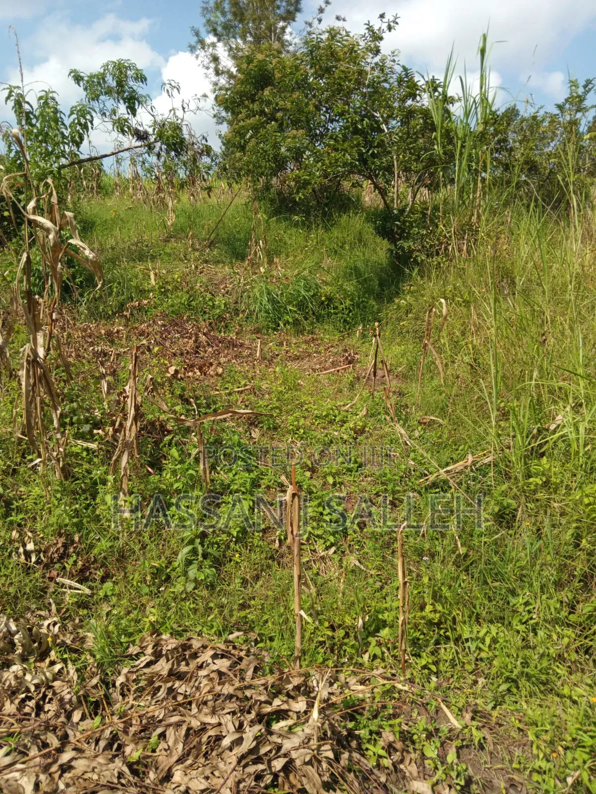 3acres Mumias East for Sale in East Wanga