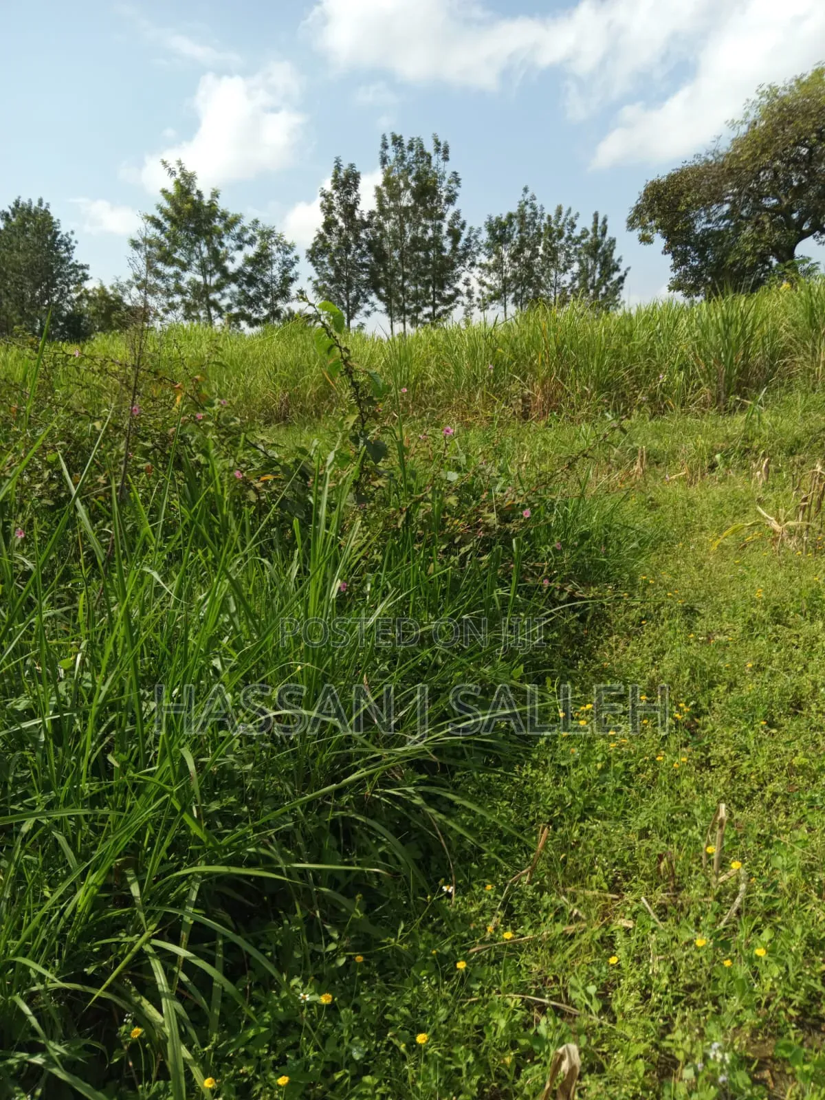 3acres Mumias East for Sale in East Wanga