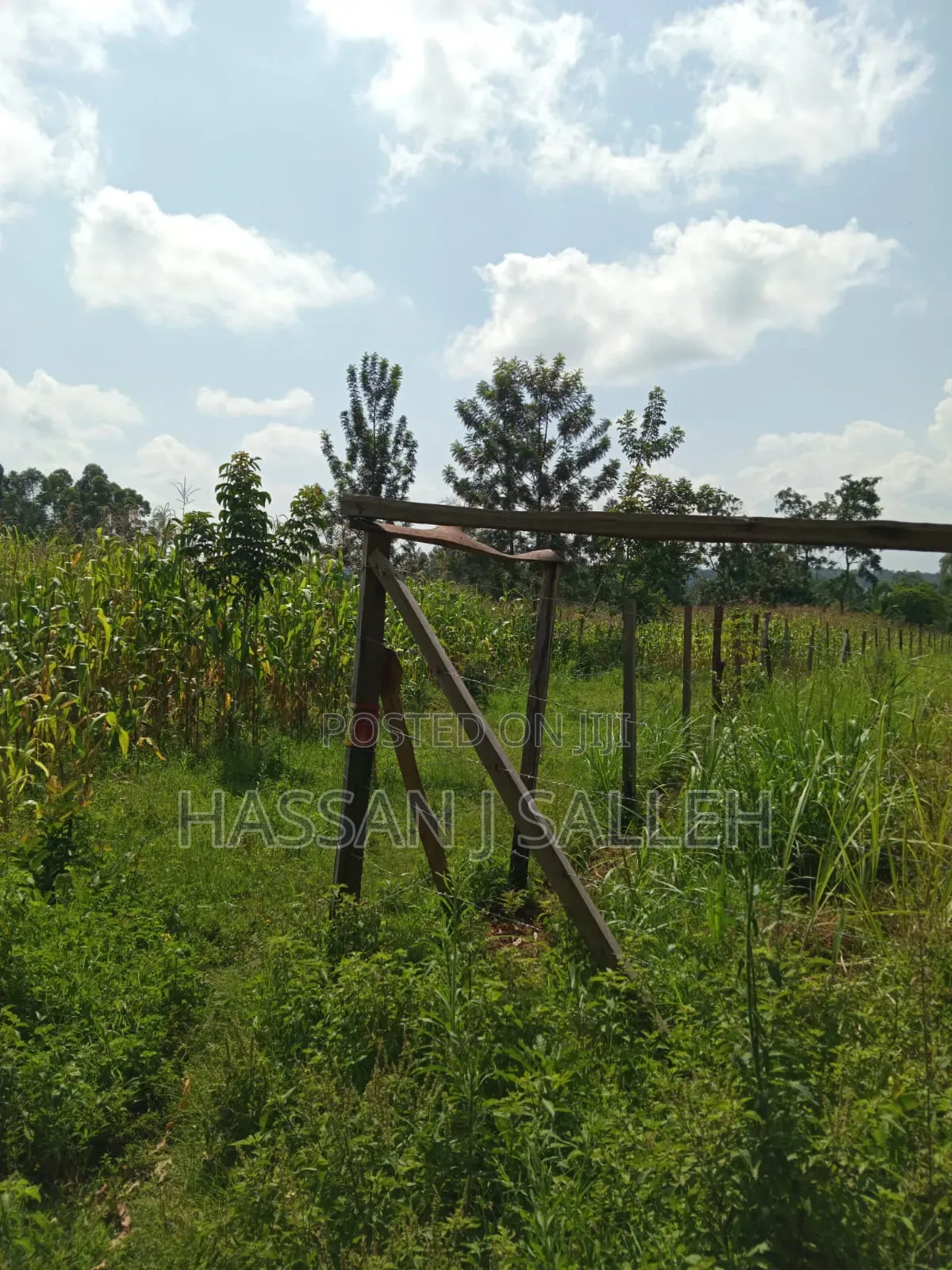 3acres Mumias East for Sale in East Wanga