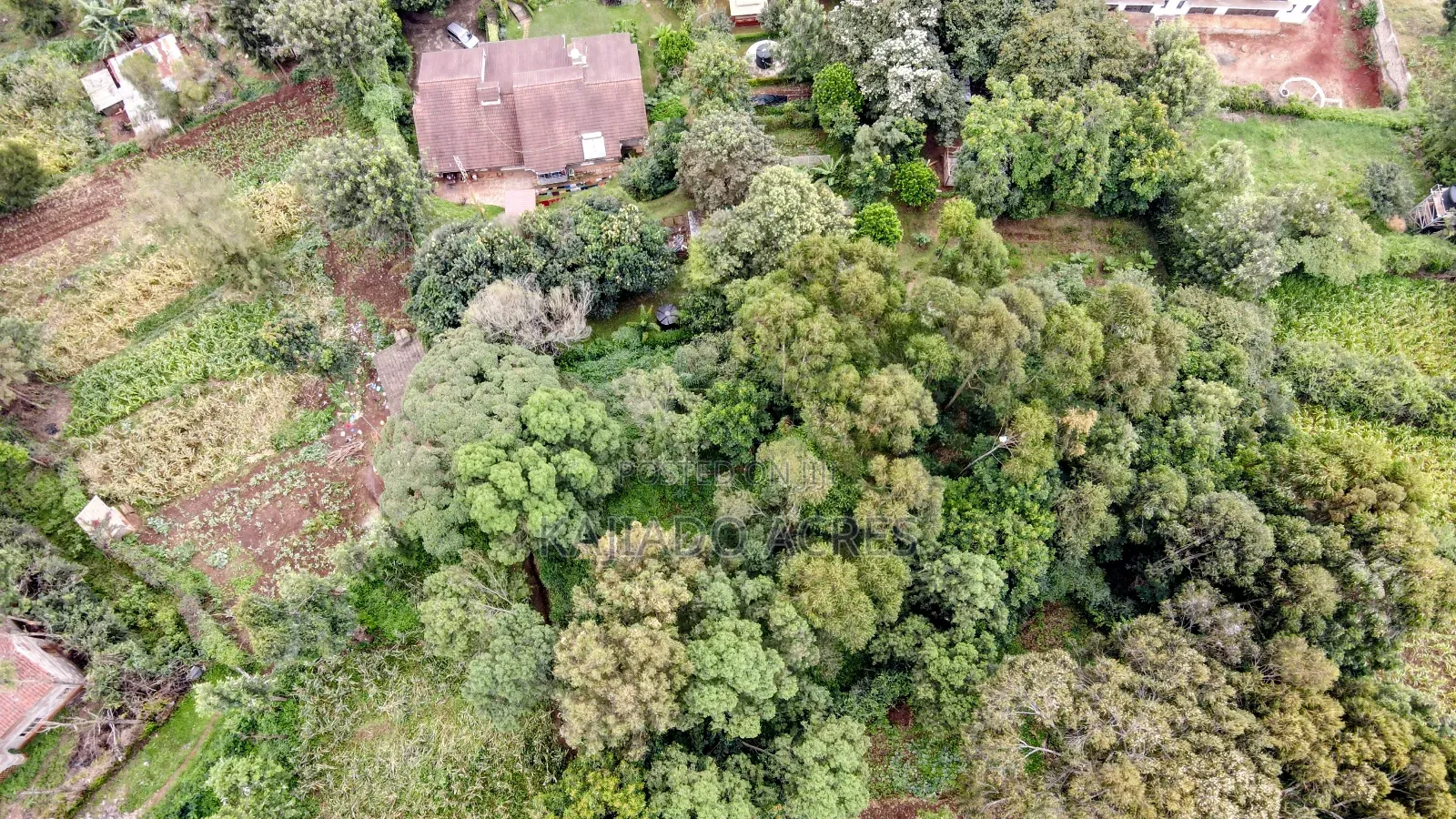 Prime 1/4 Acre Muthaiga,Ngong at 10m in Ngong