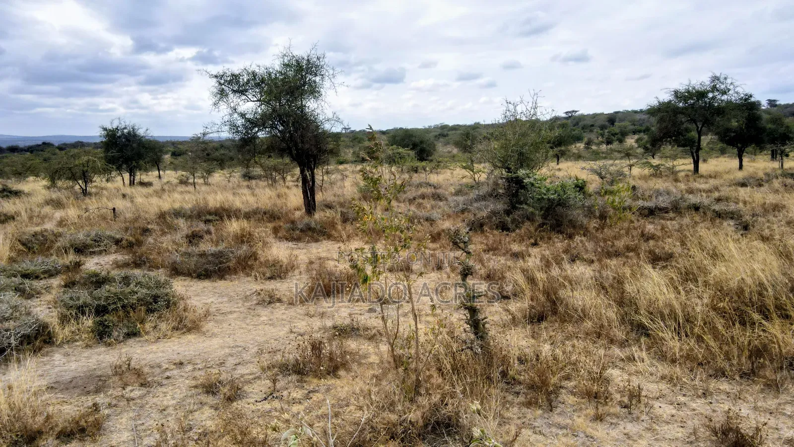 8 Acres Imaroro at 600,000kshs Per Acre in Imaroro